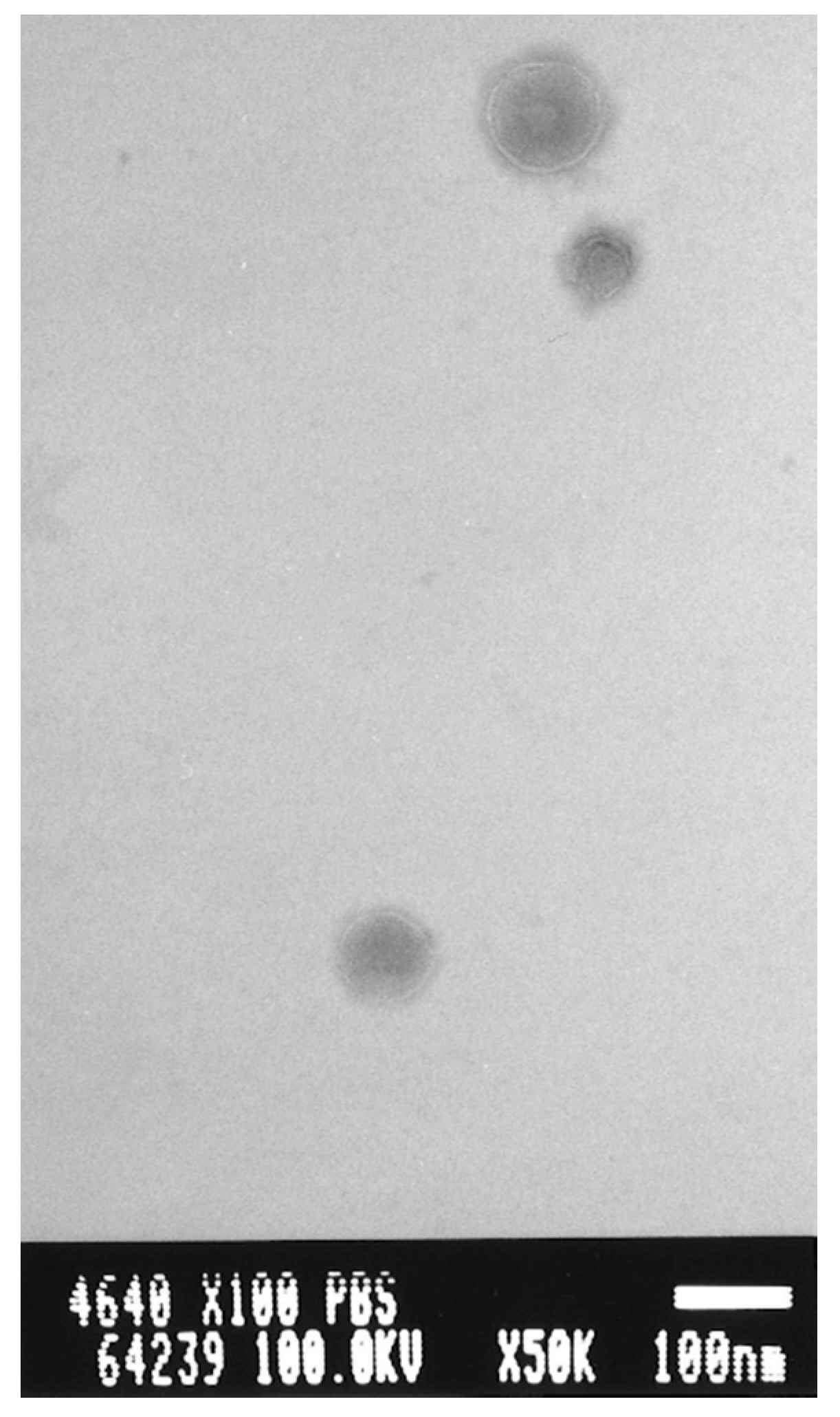 Cells 10 03421 g006