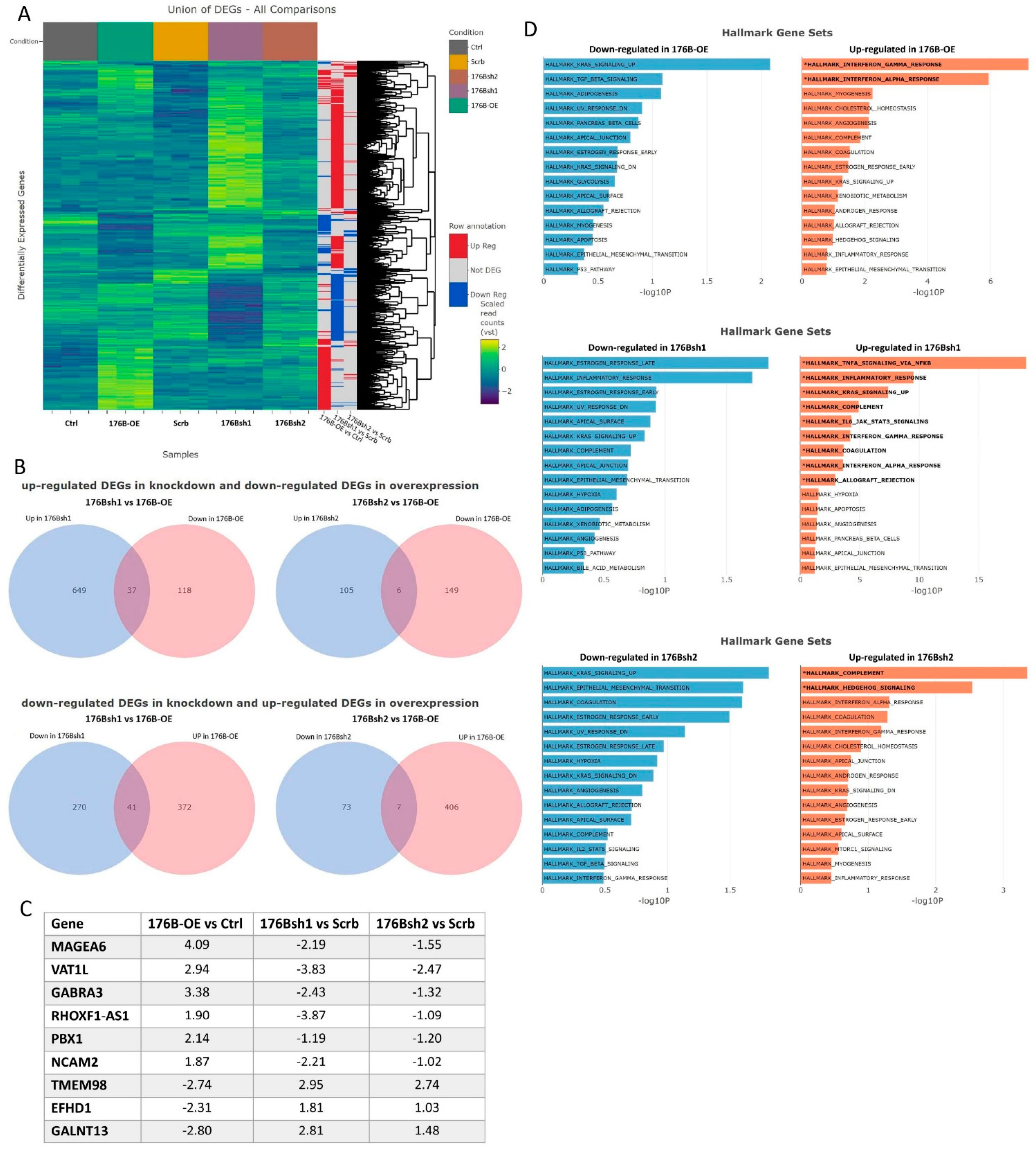 Cells 10 03430 g005 Cells 10 03430 g005