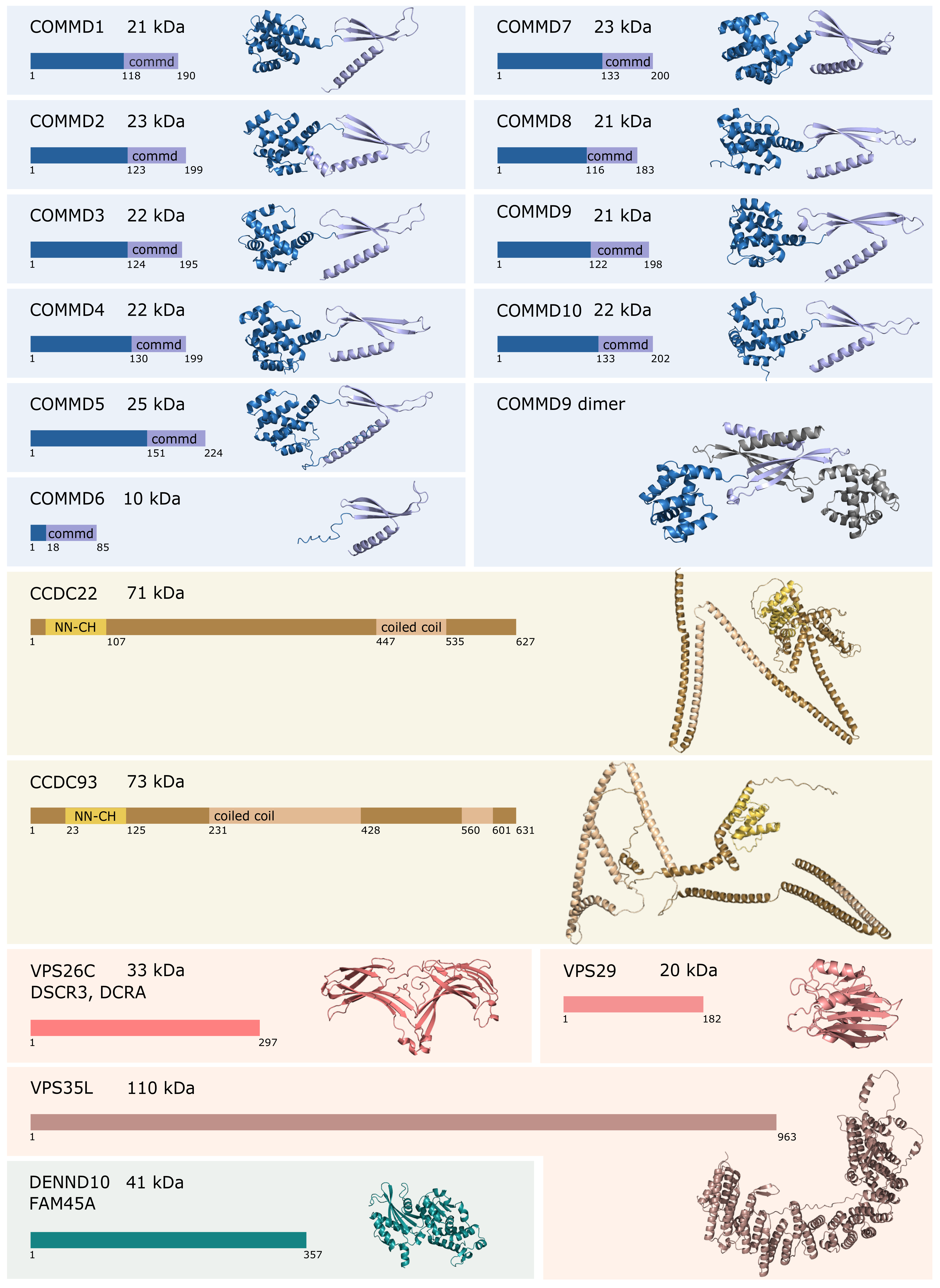 Cells 10 03447 g001 Cells 10 03447 g001