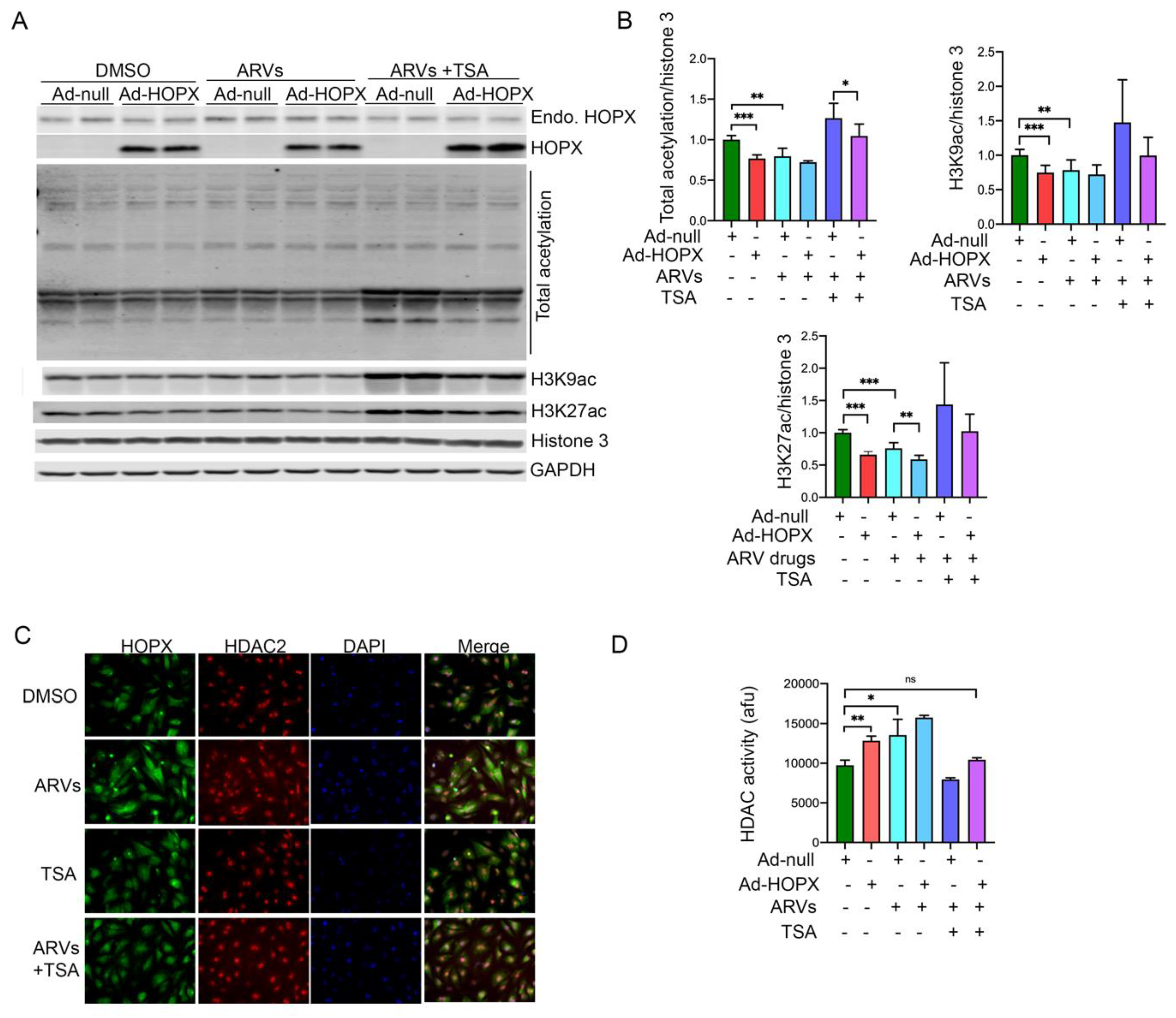 Cells 10 03458 g005 Cells 10 03458 g005