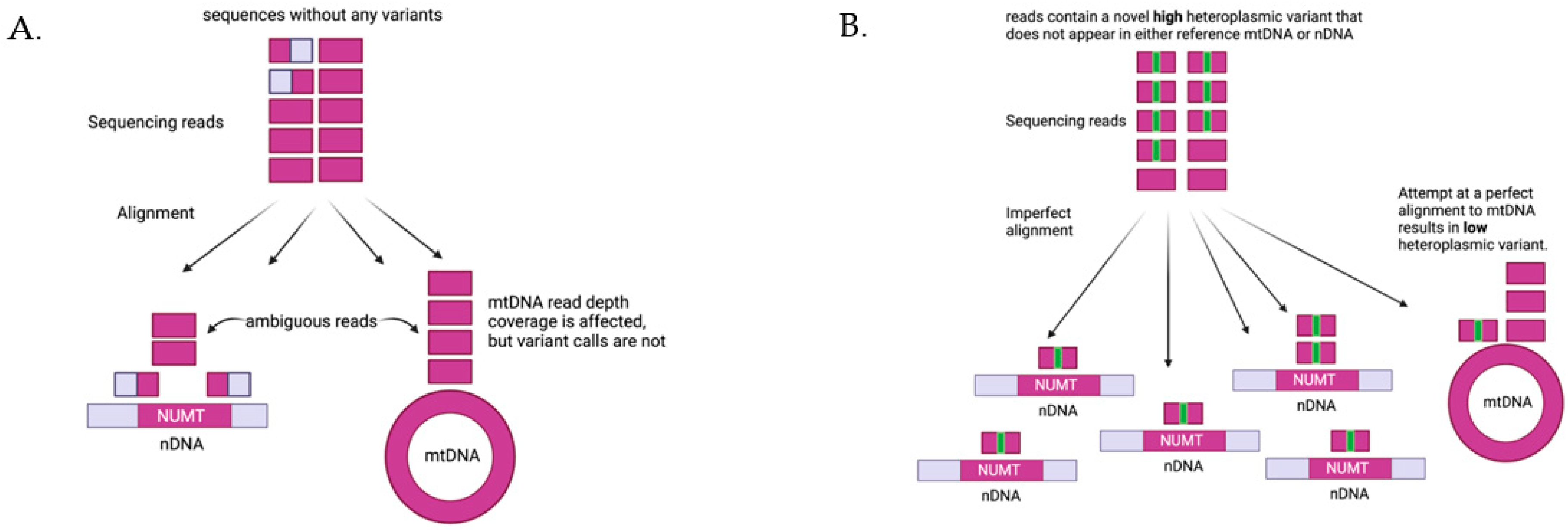 Cells 10 03460 g004 Cells 10 03460 g004