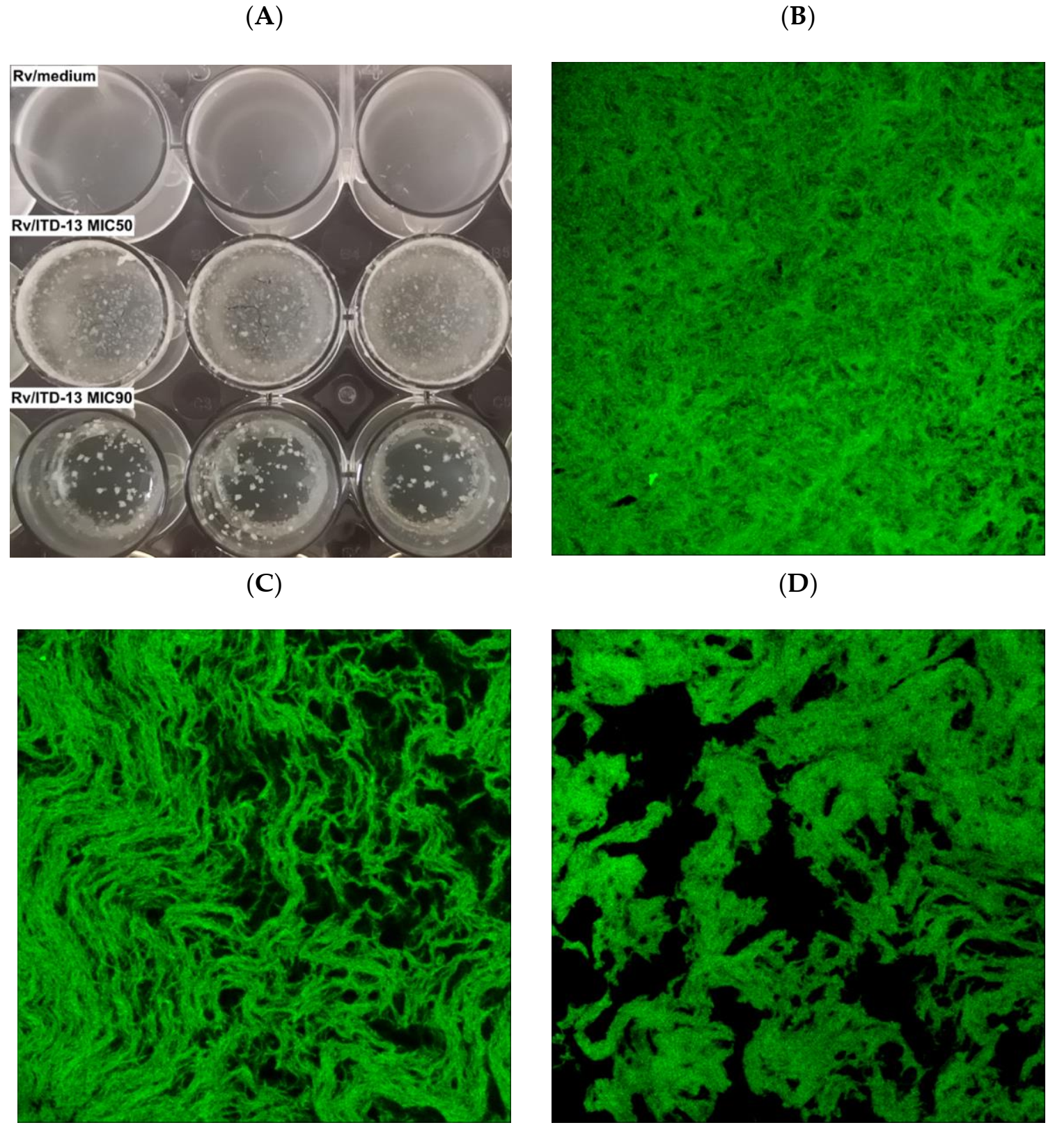 Cells 10 03476 g006 Cells 10 03476 g006