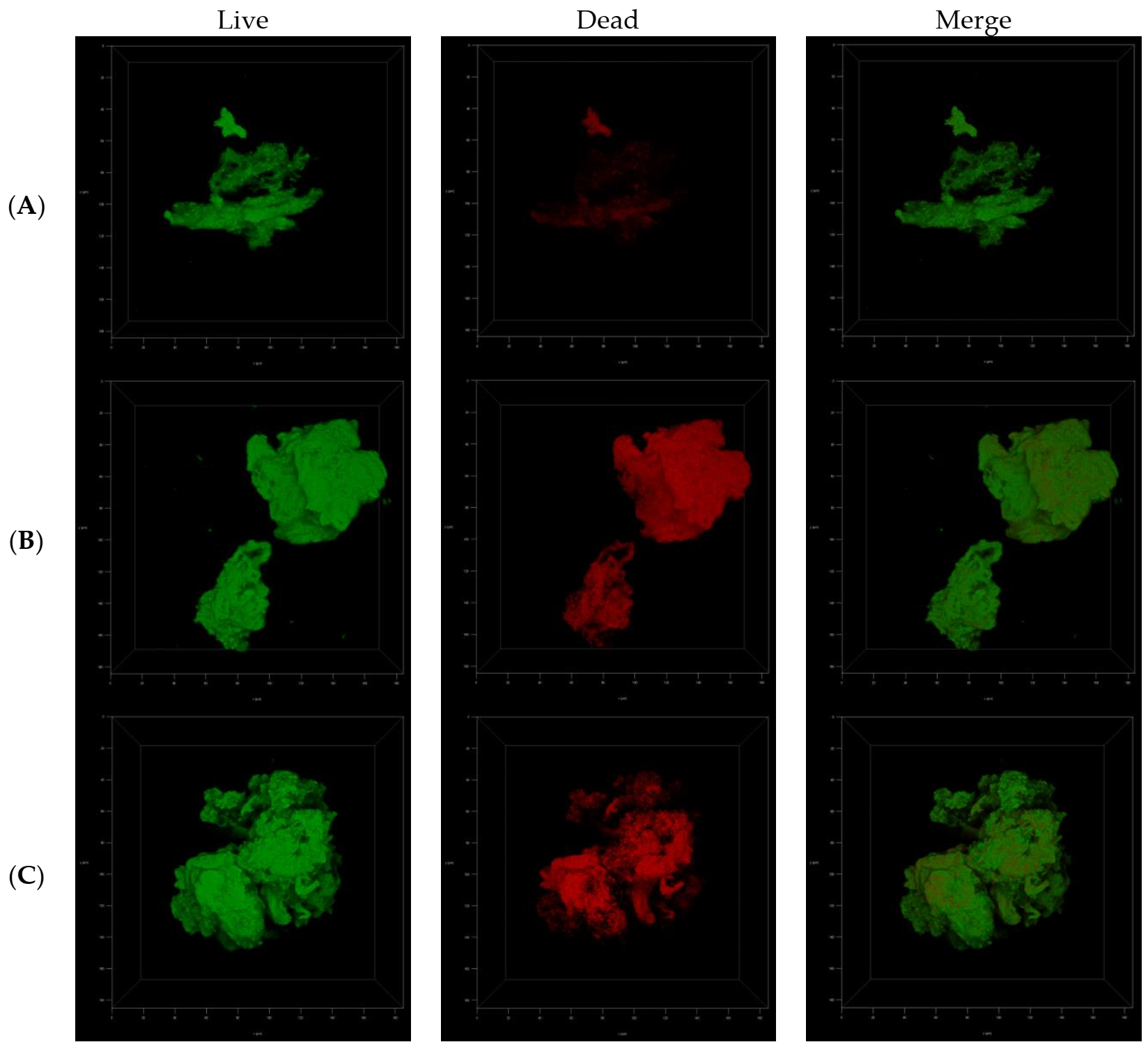 Cells 10 03476 g007 Cells 10 03476 g007