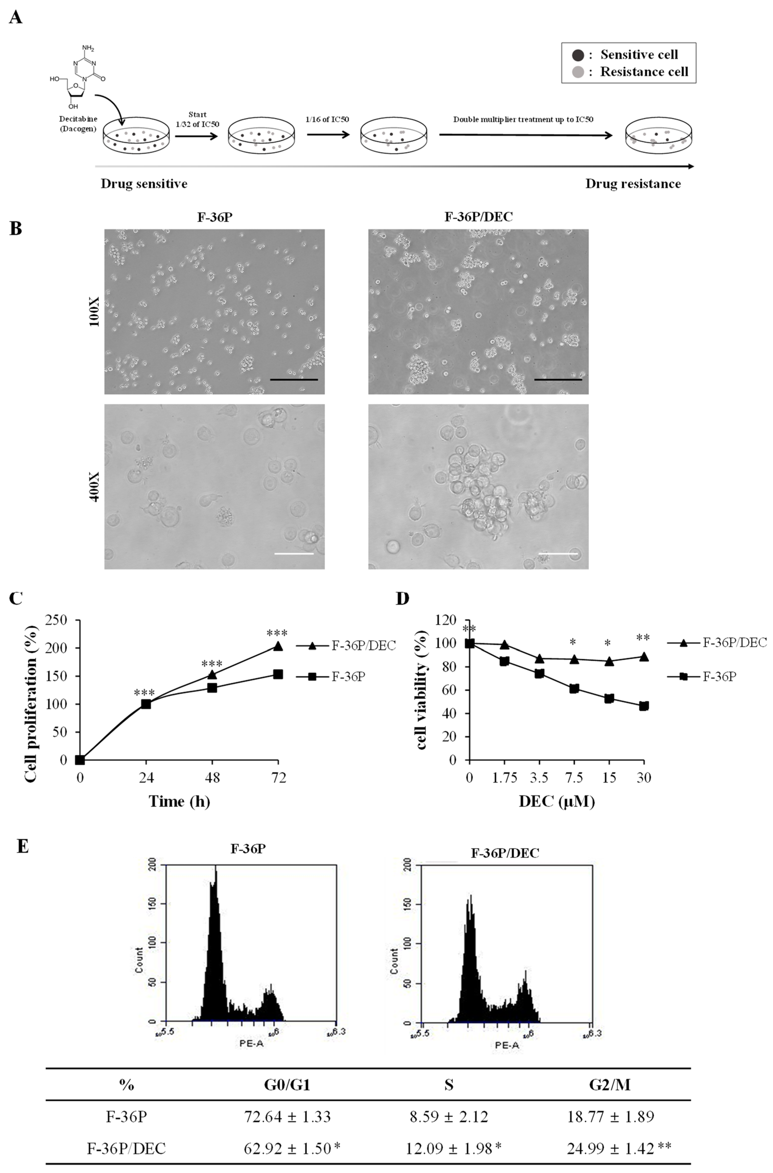 Cells 10 03494 g001 Cells 10 03494 g001