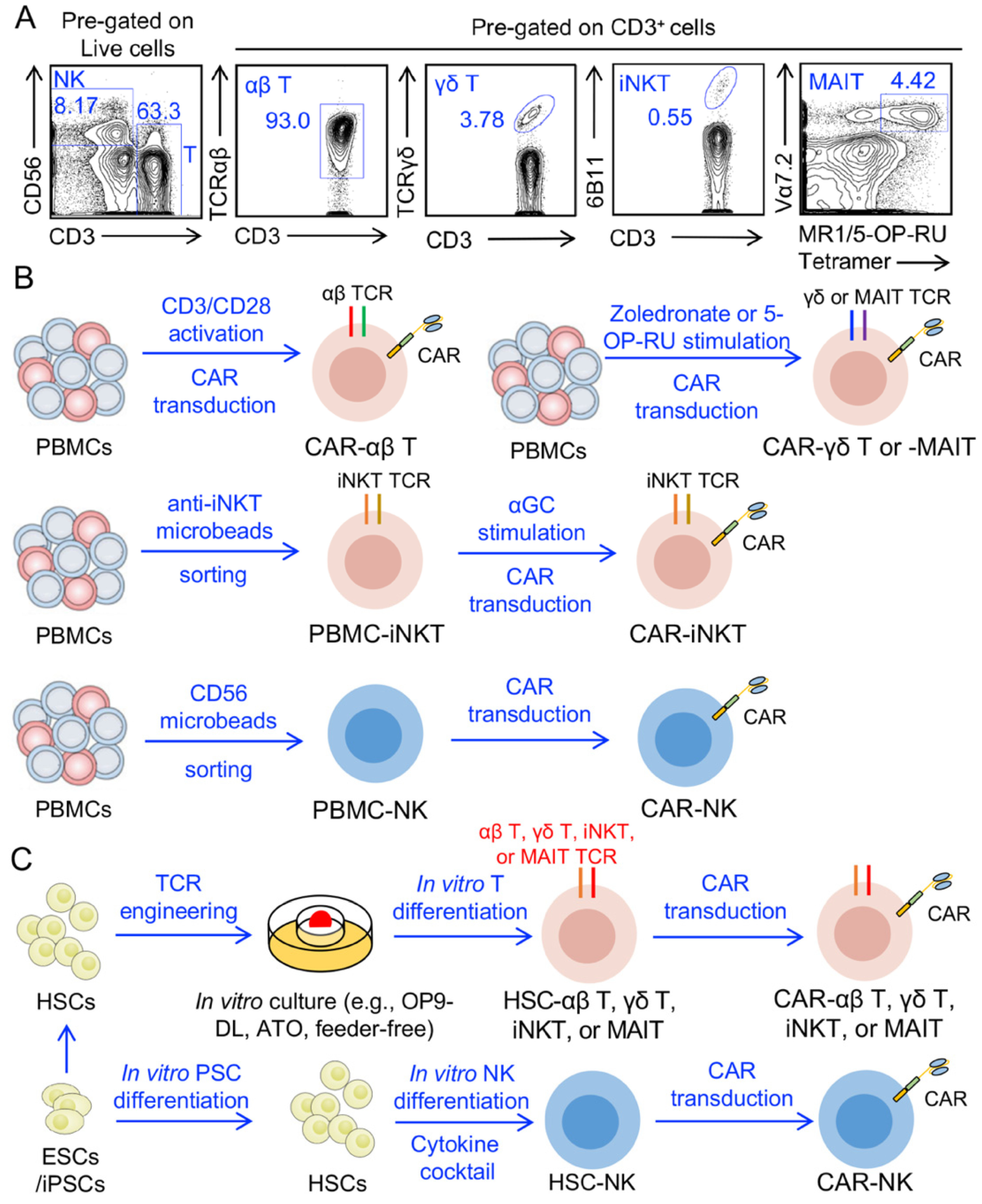 Cells 10 03497 g002