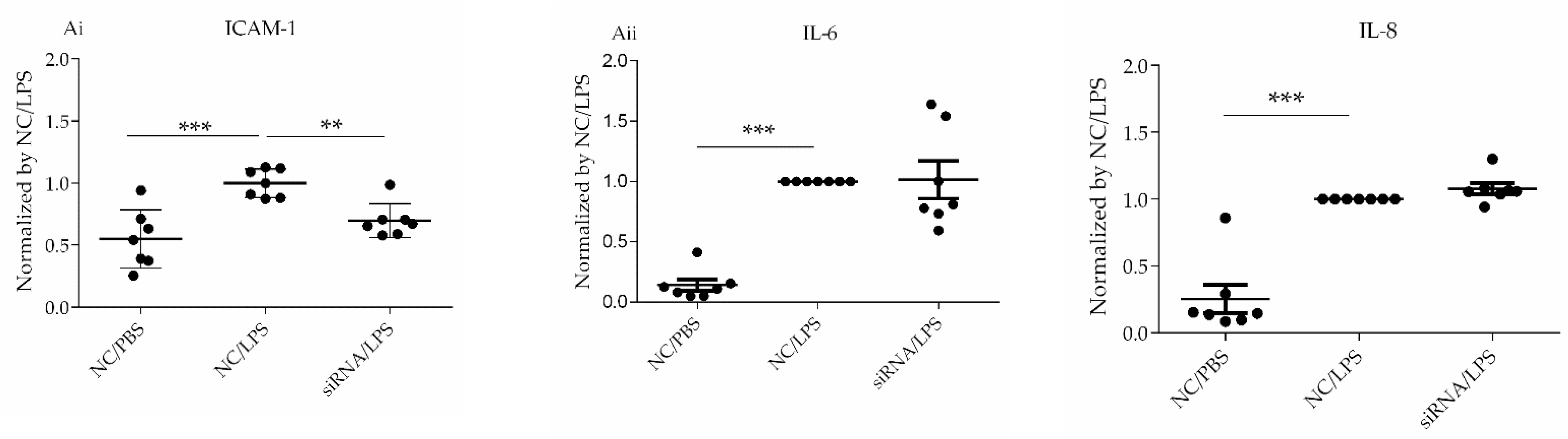 Cells 10 03508 g005a