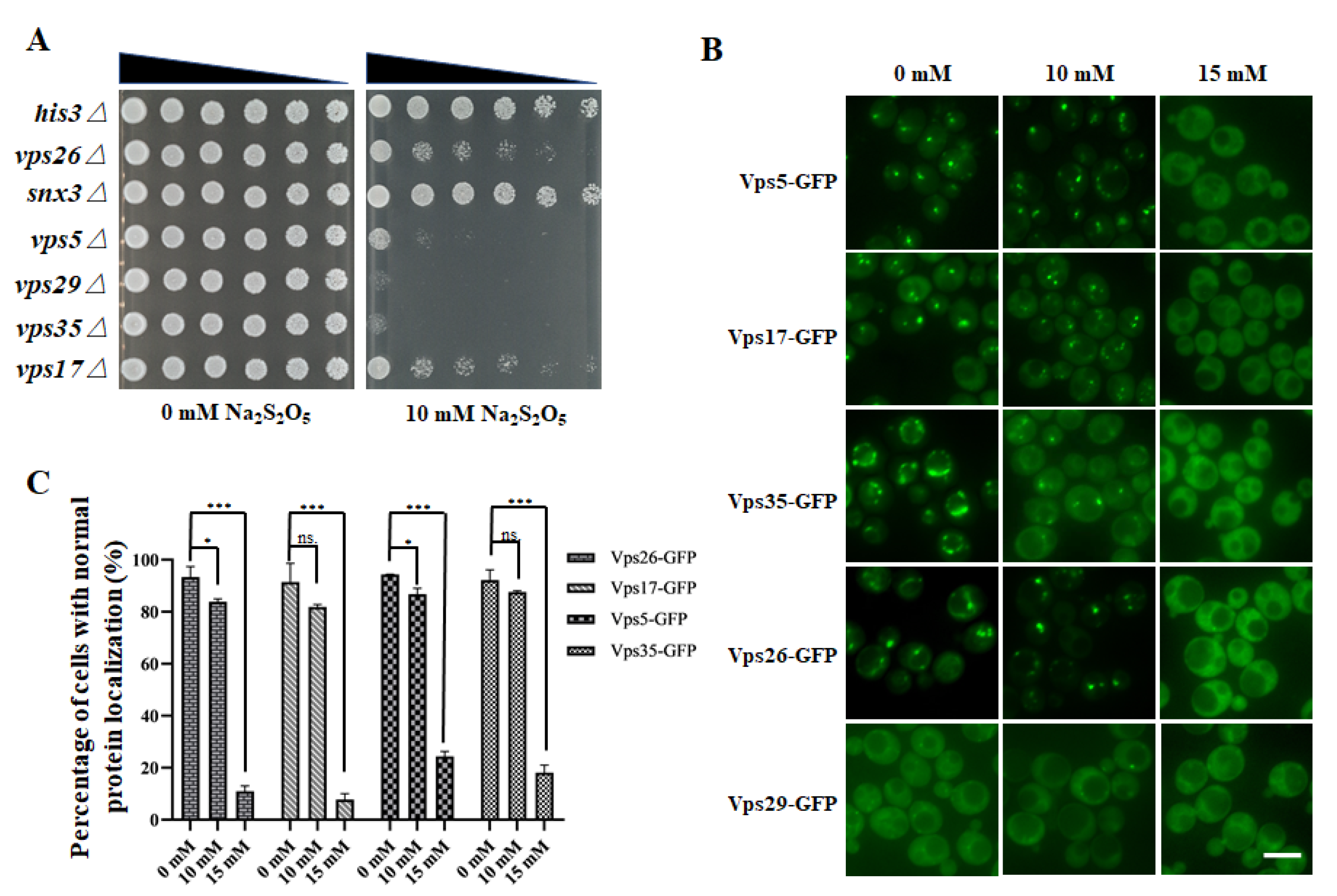 Cells 10 03512 g002 Cells 10 03512 g002