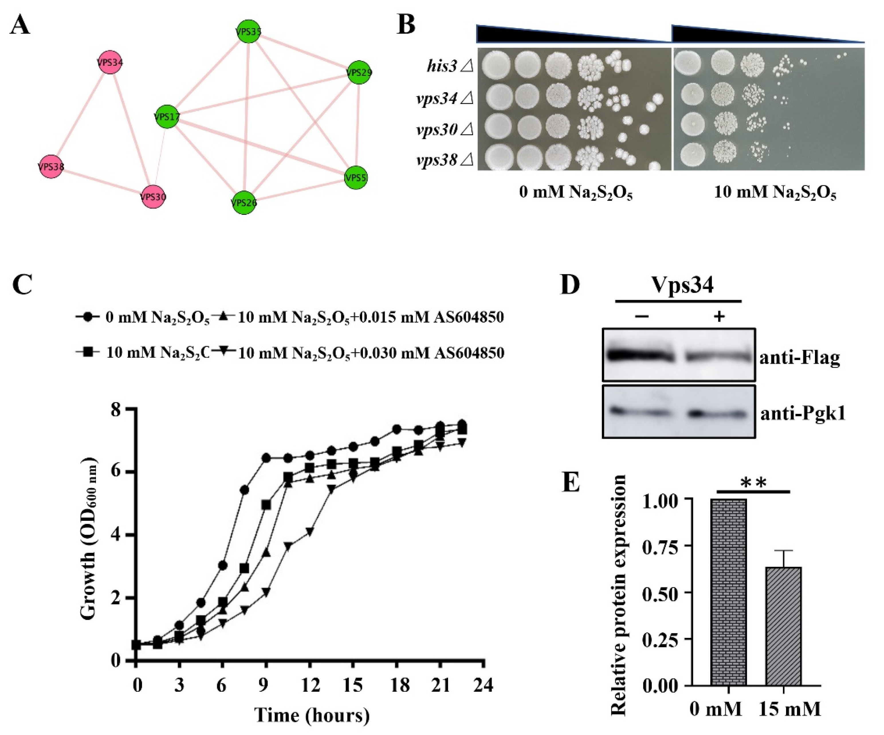 Cells 10 03512 g003 Cells 10 03512 g003