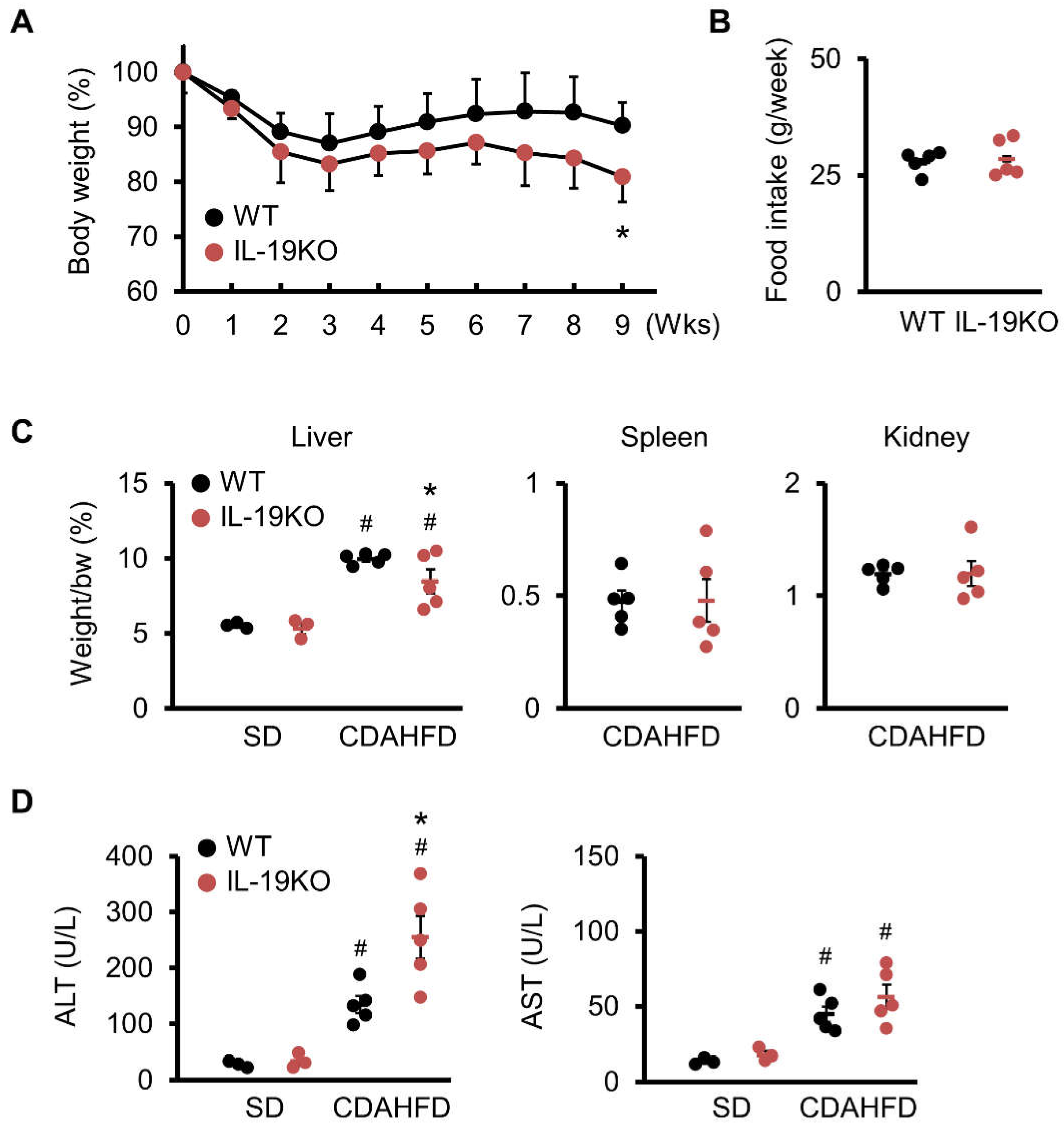 Cells 10 03513 g002 Cells 10 03513 g002