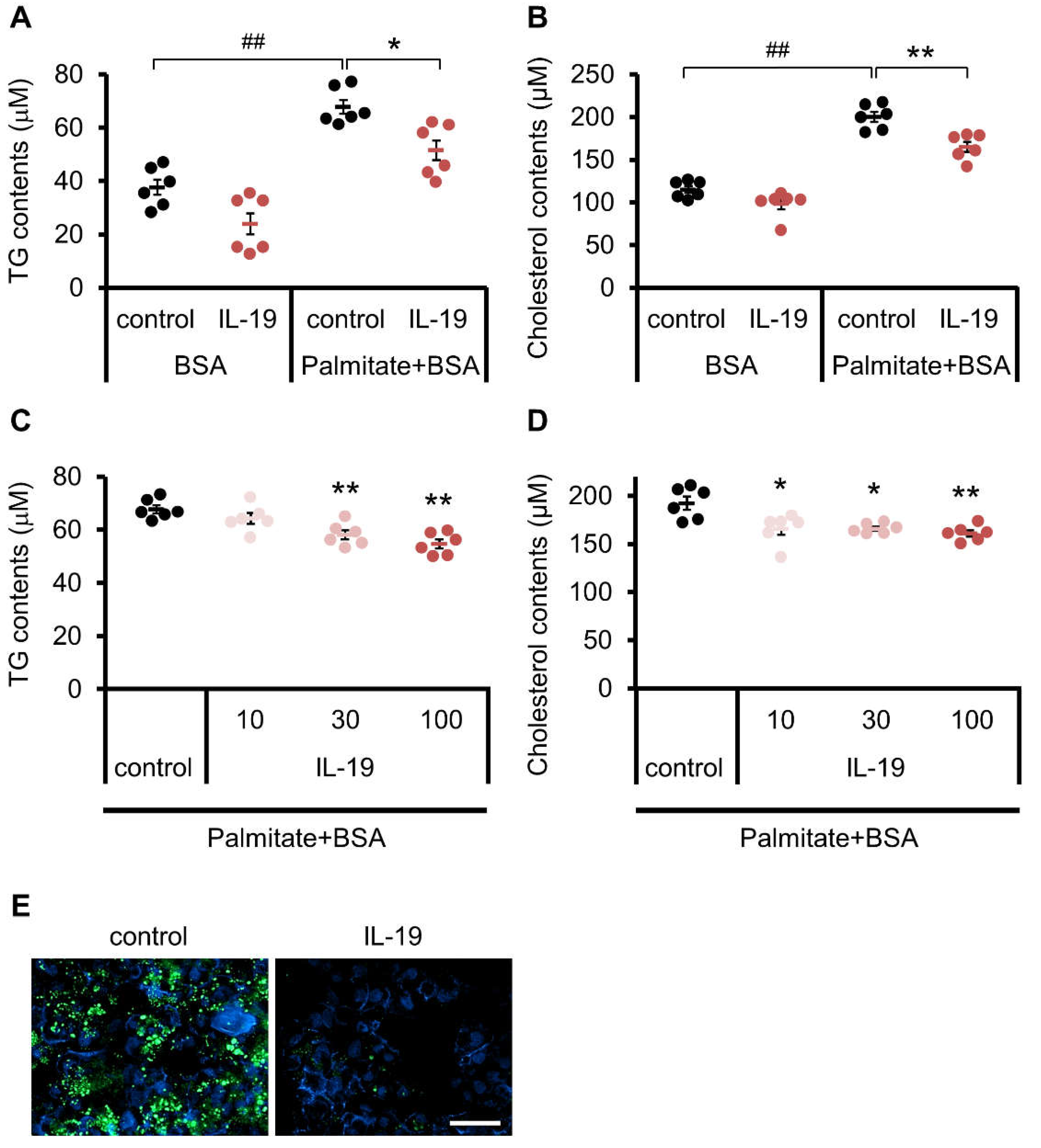 Cells 10 03513 g005 Cells 10 03513 g005