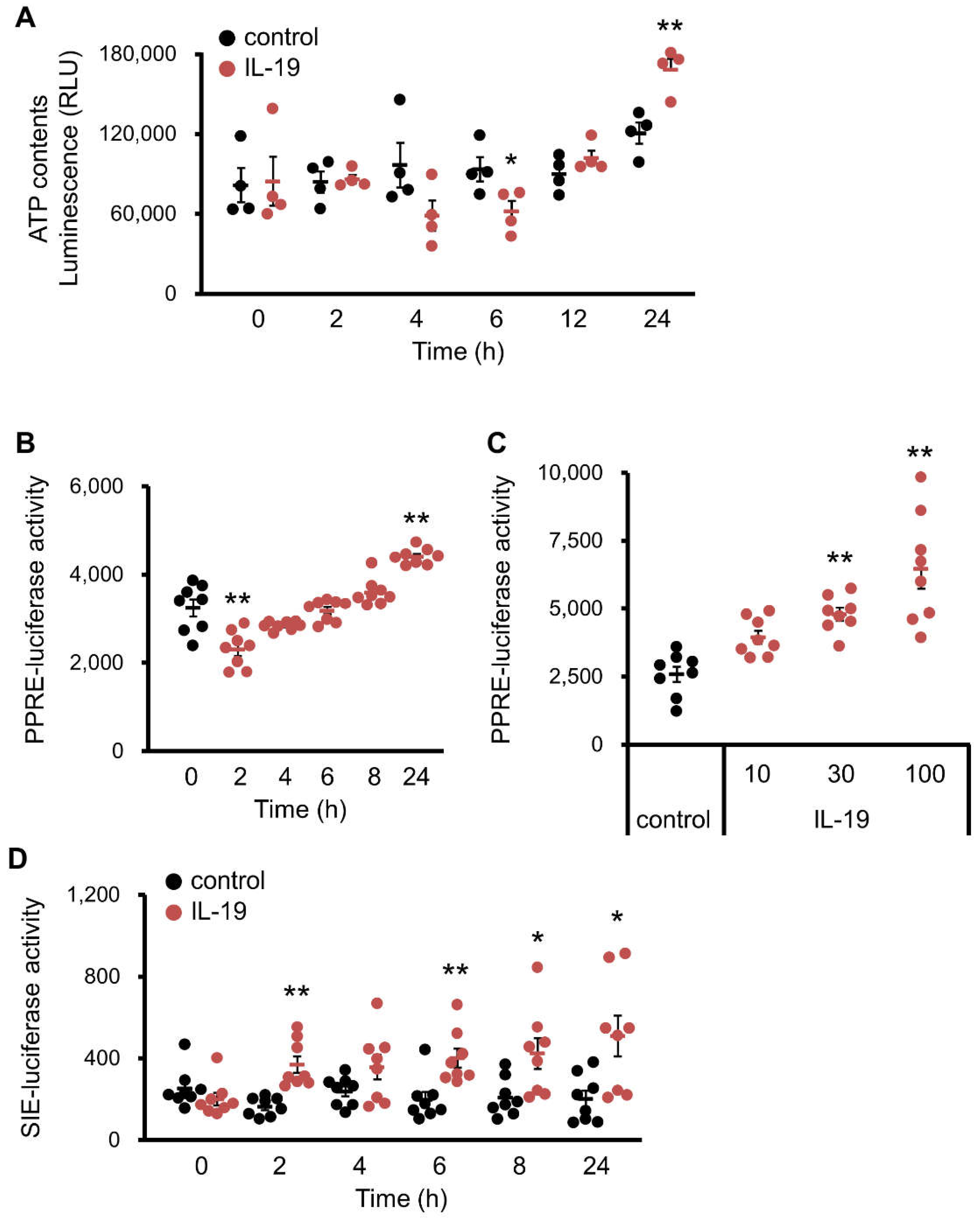 Cells 10 03513 g007 Cells 10 03513 g007