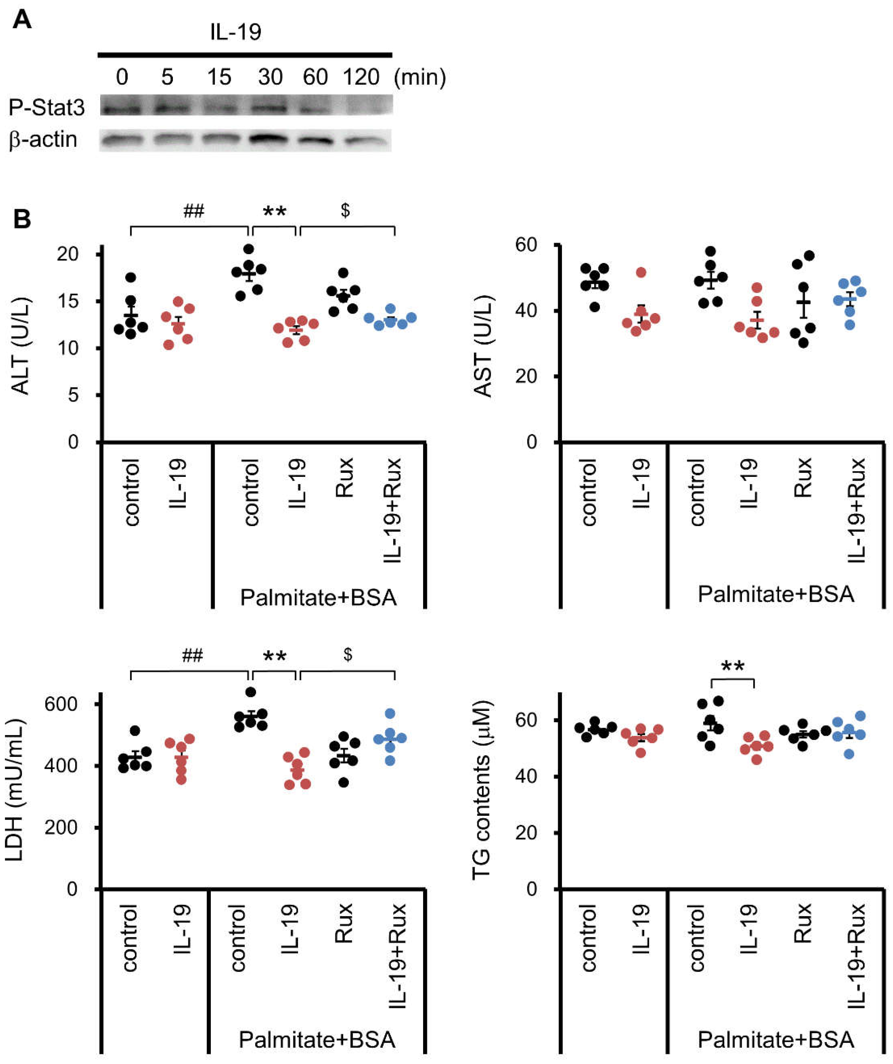Cells 10 03513 g008 Cells 10 03513 g008