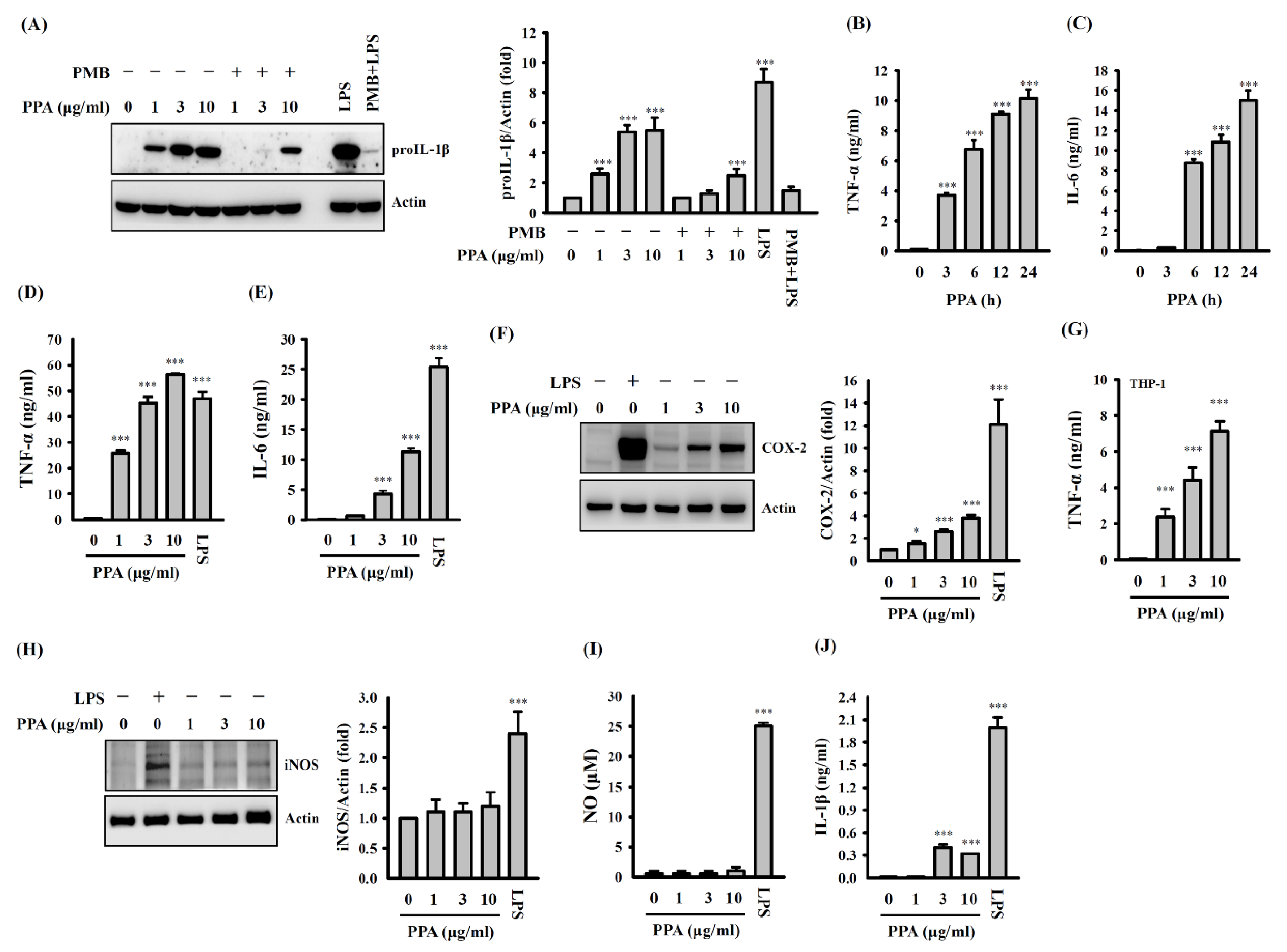 Cells 10 03531 g002
