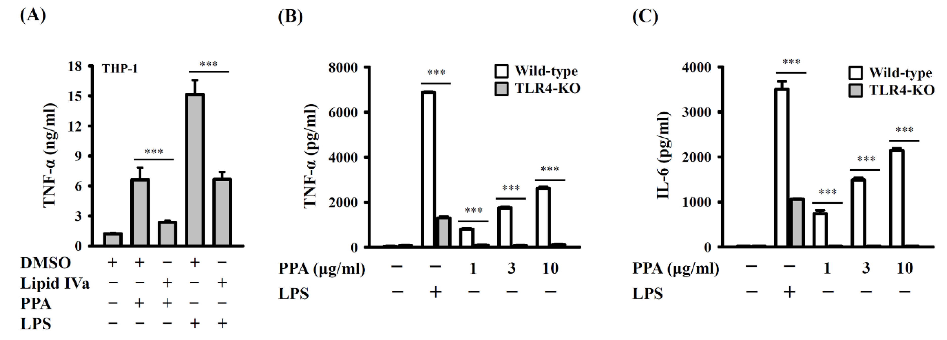 Cells 10 03531 g003