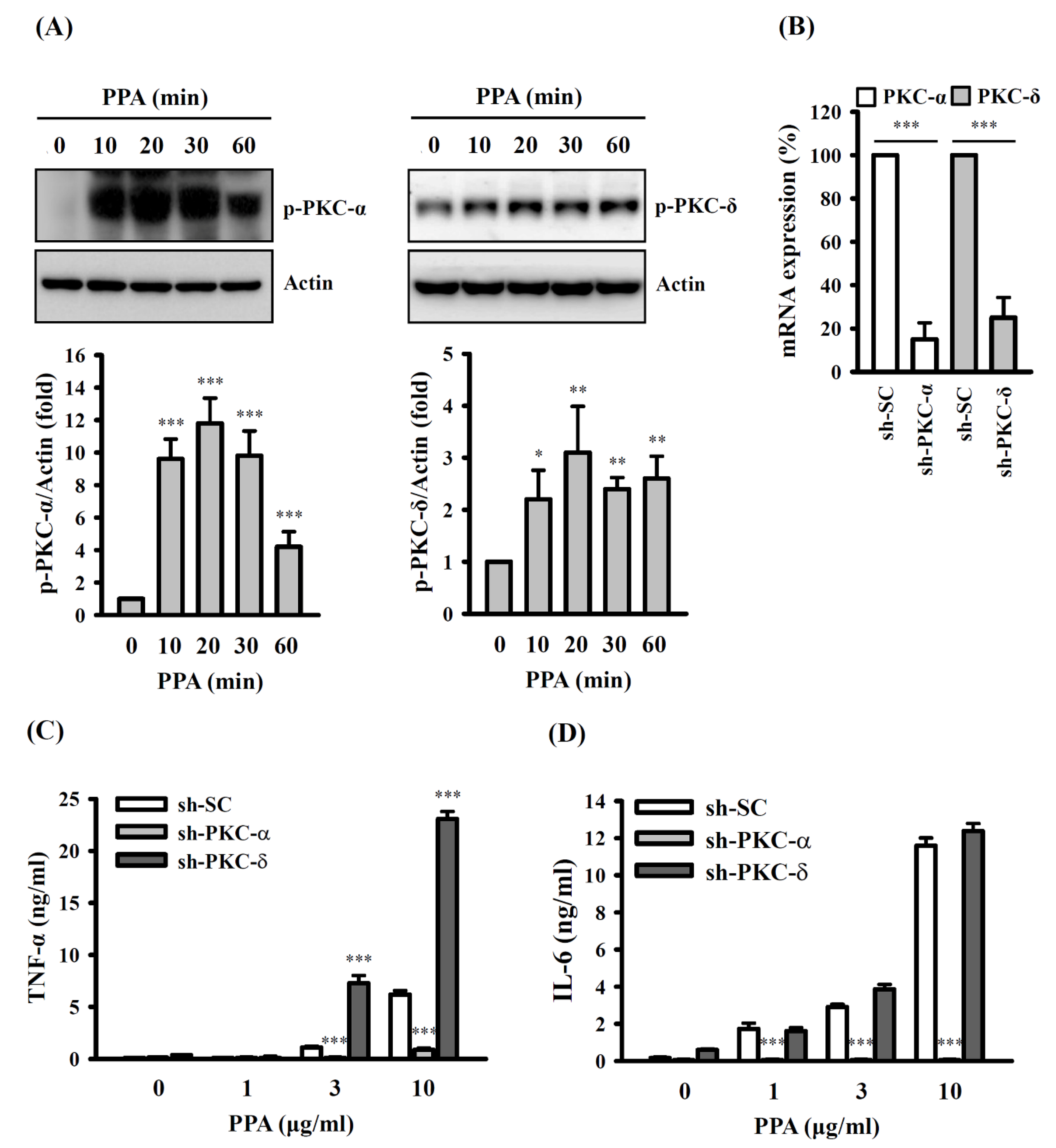 Cells 10 03531 g005