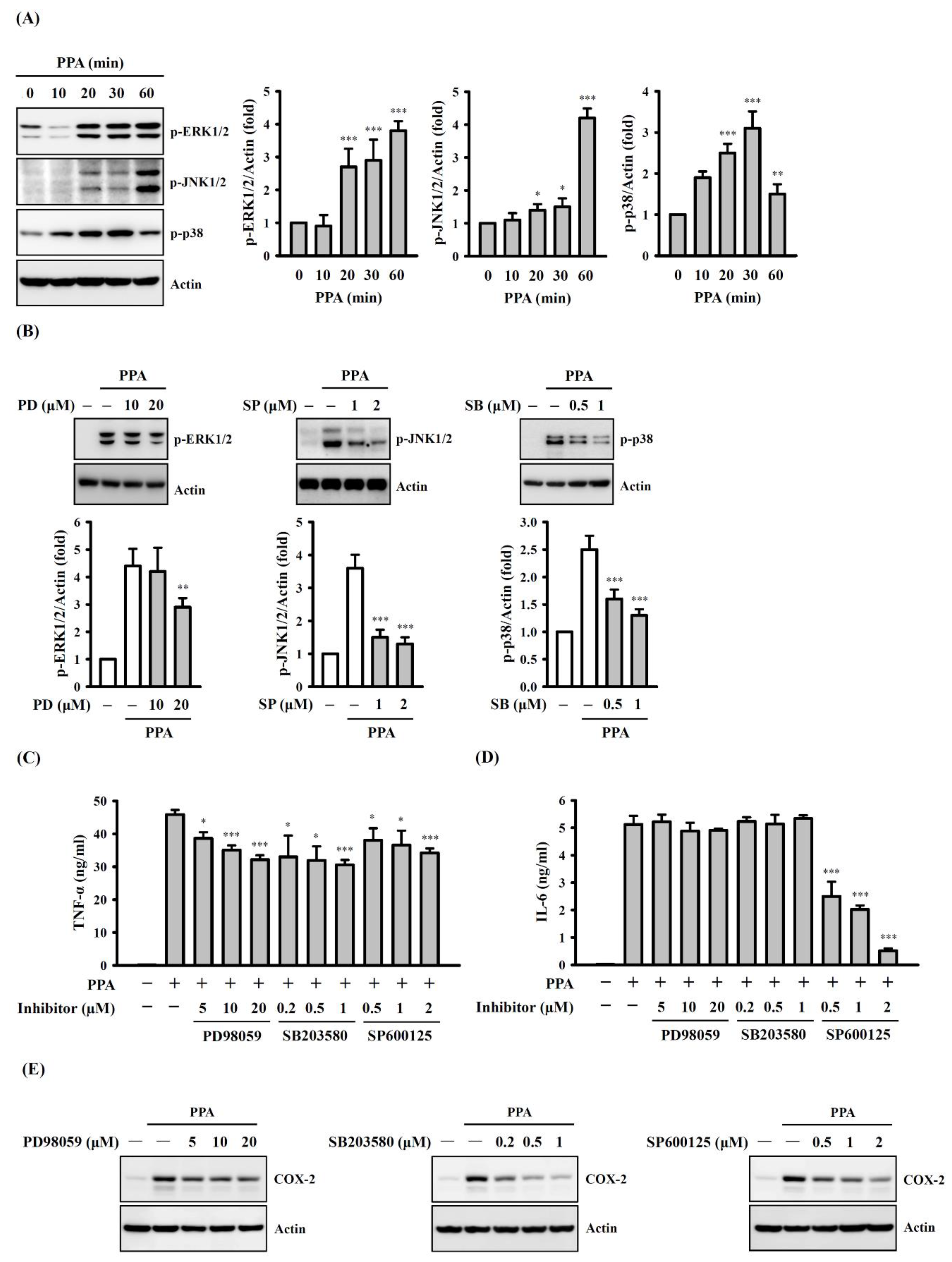 Cells 10 03531 g006