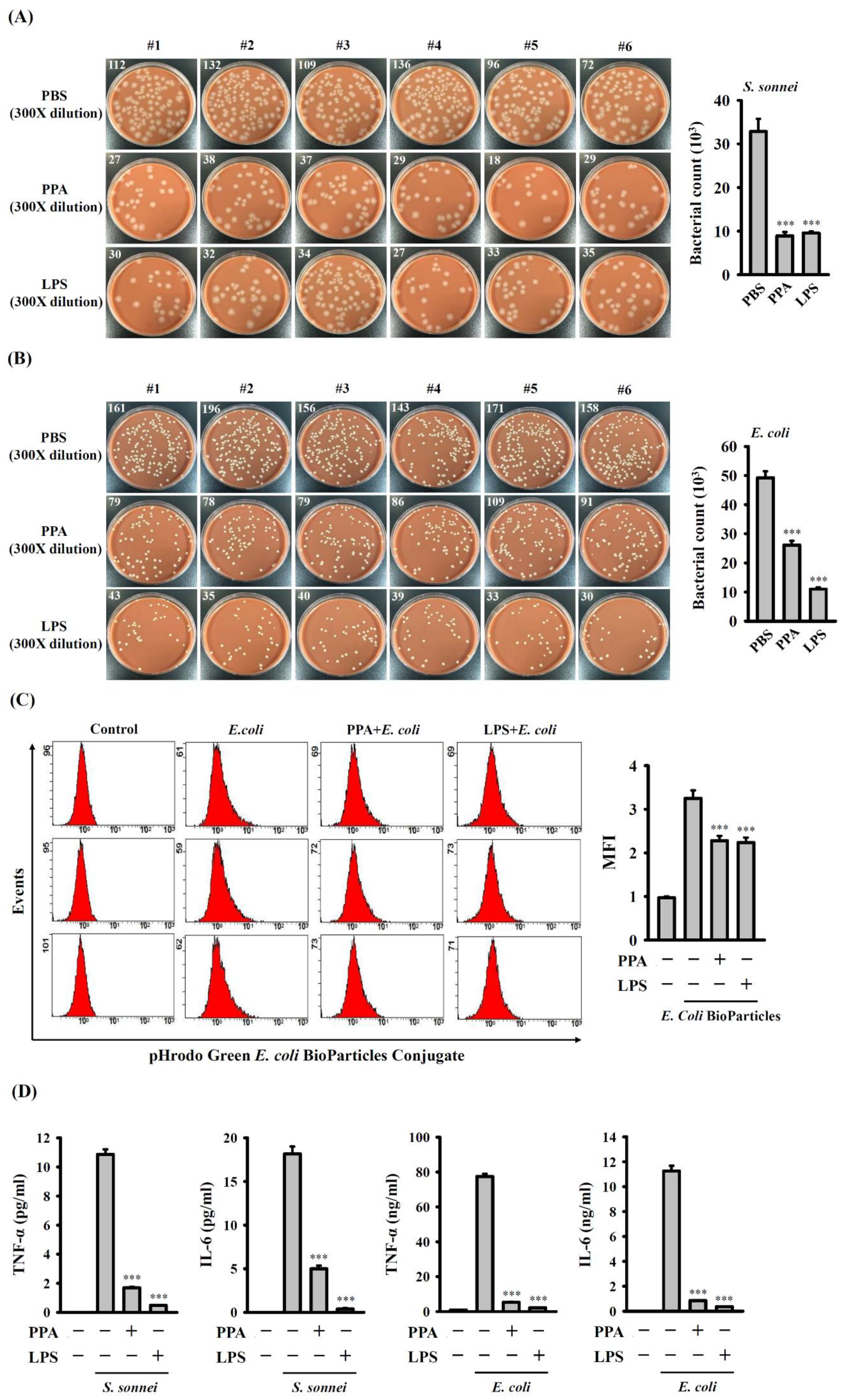 Cells 10 03531 g009