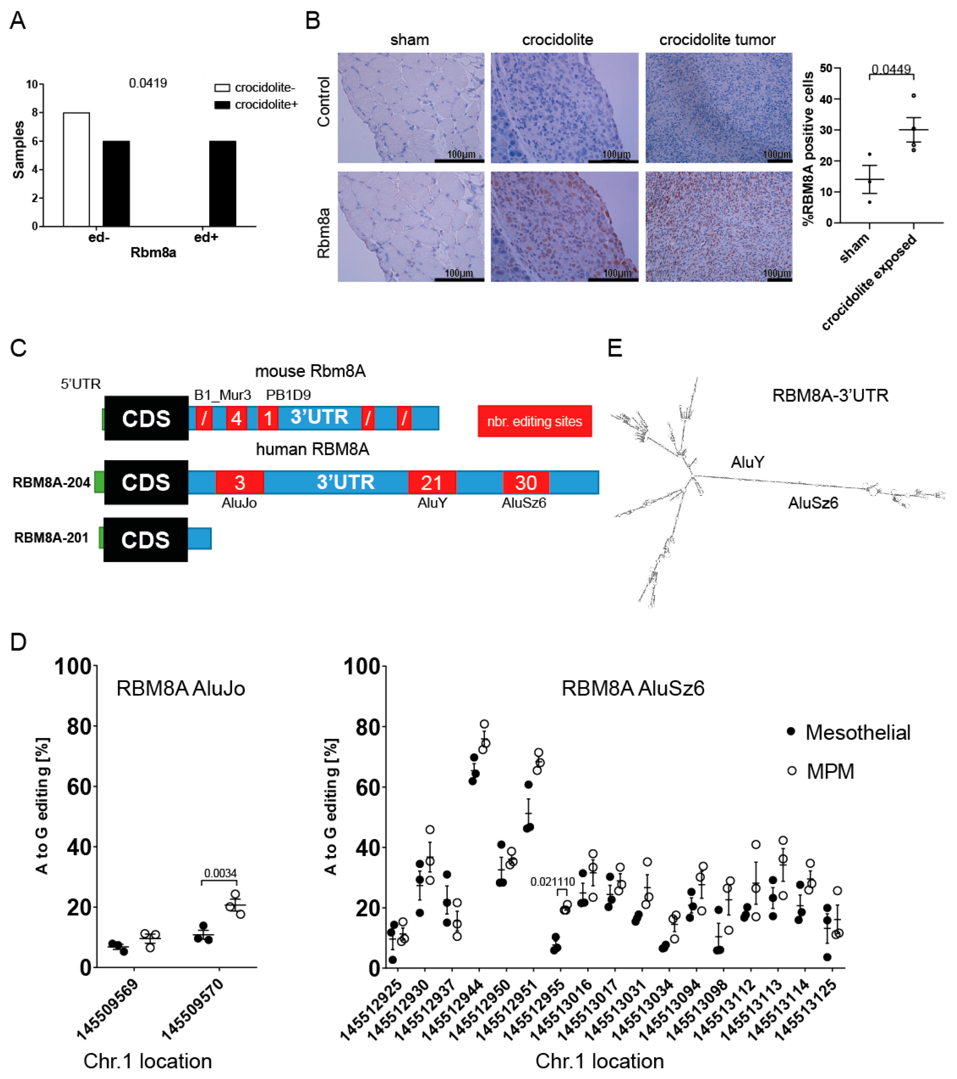 Cells 10 03543 g002