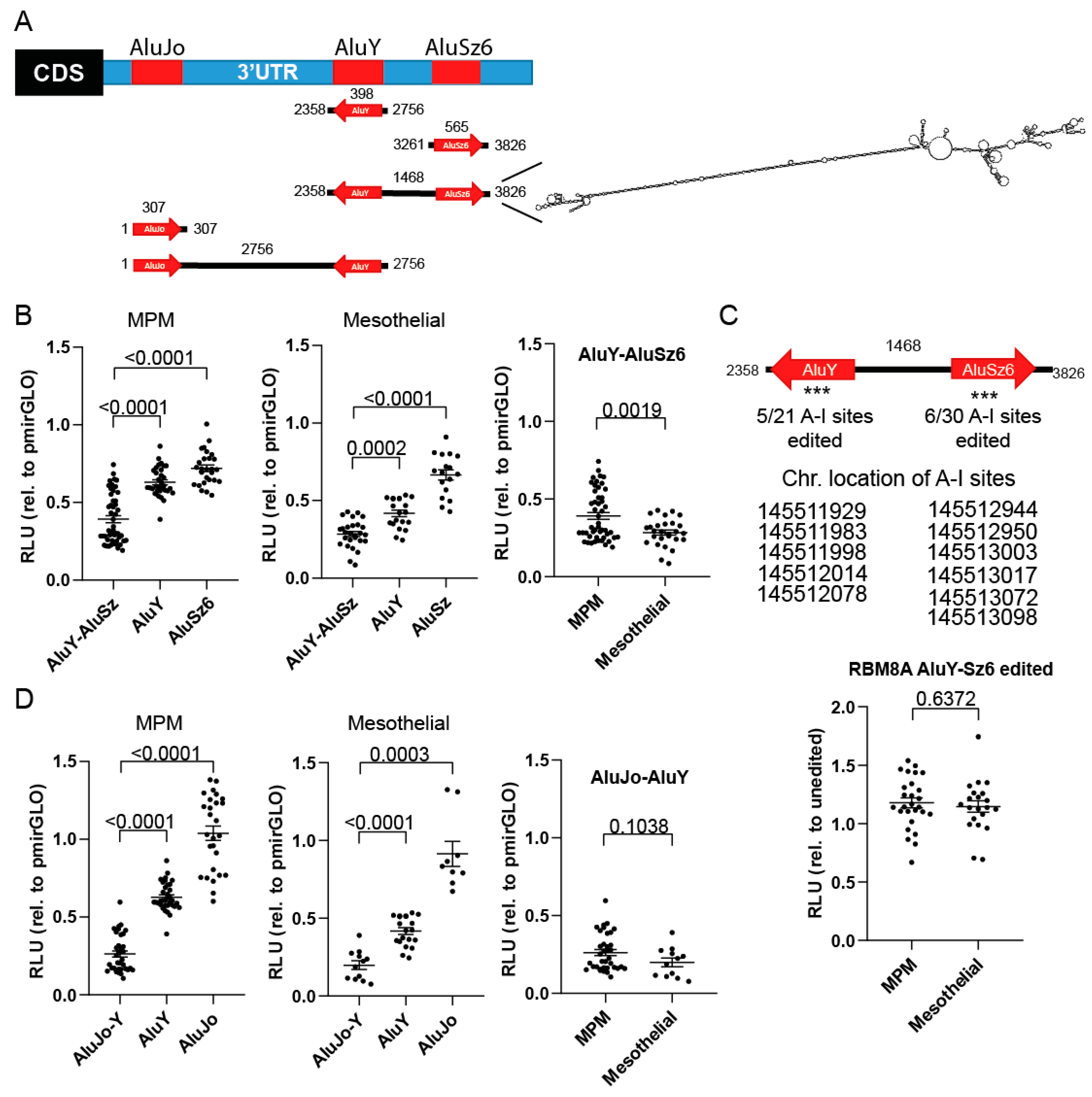 Cells 10 03543 g004