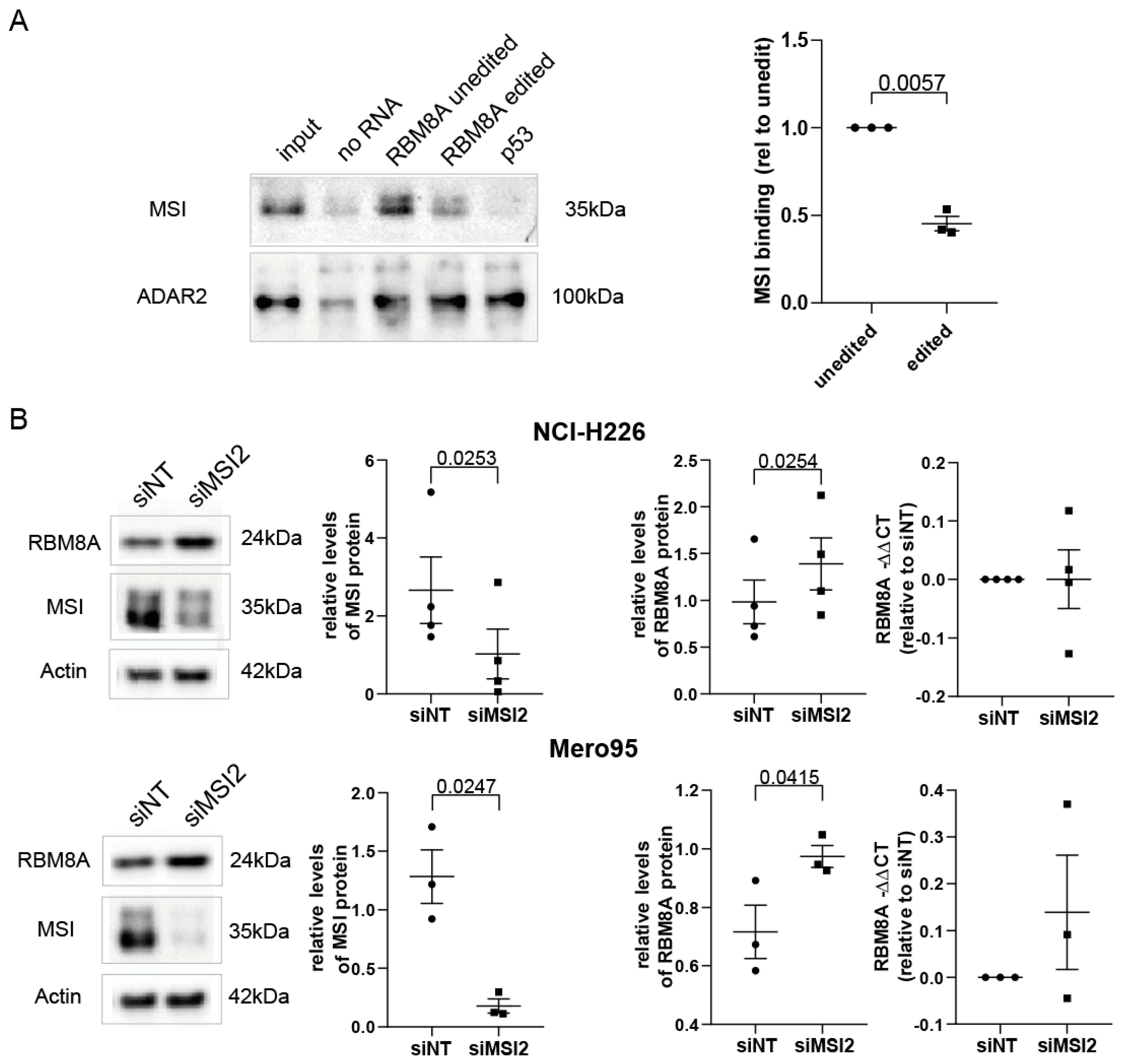 Cells 10 03543 g005