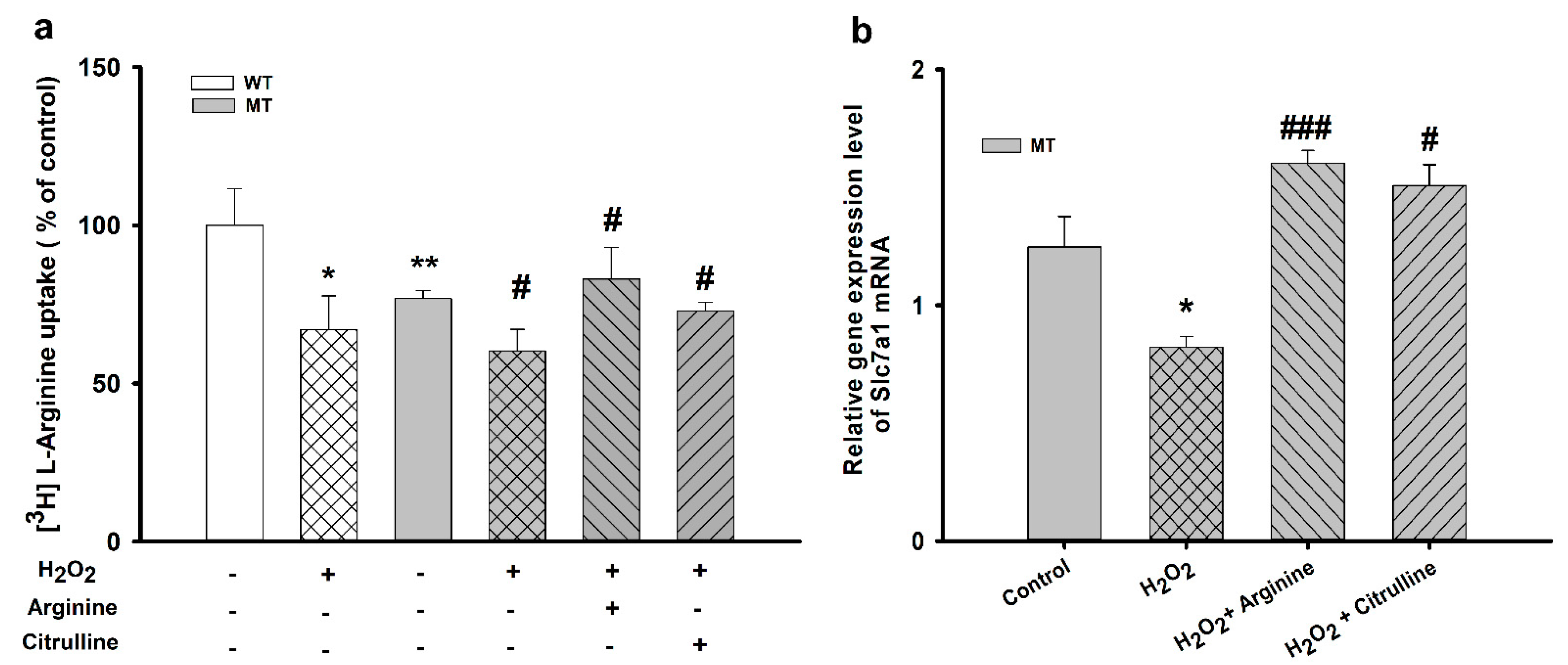 Cells 10 03554 g004 Cells 10 03554 g004