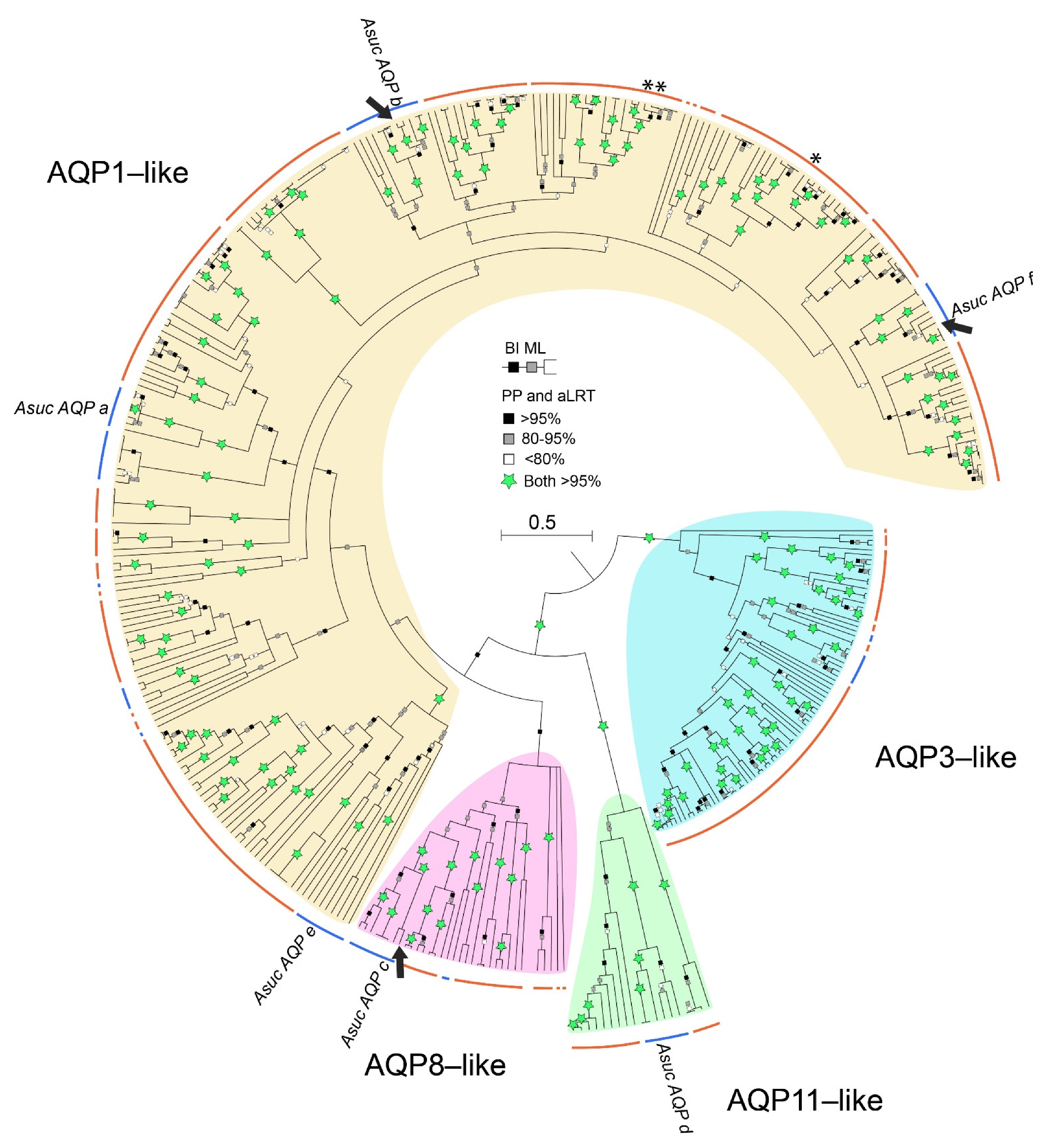Cells 10 03562 g003