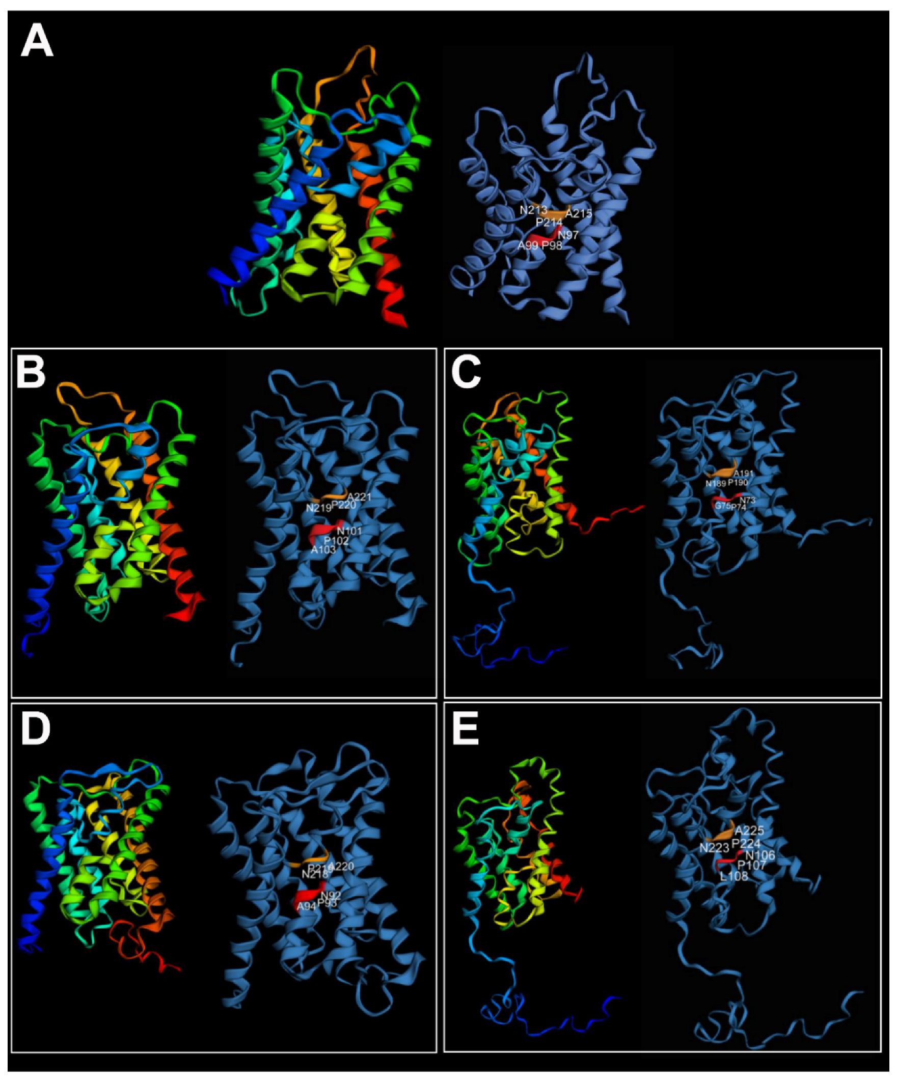 Cells 10 03562 g005