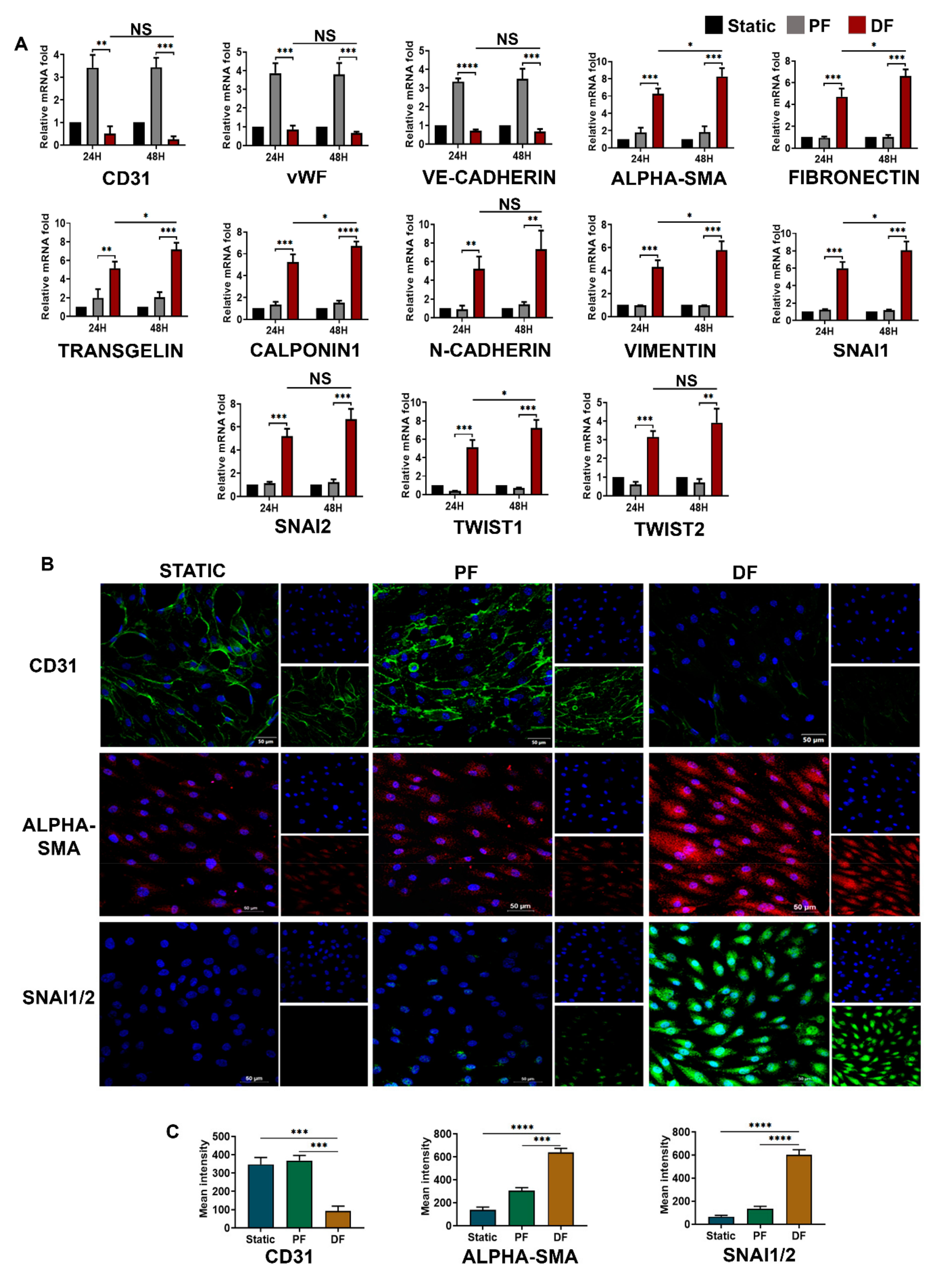 Cells 10 03563 g003 Cells 10 03563 g003