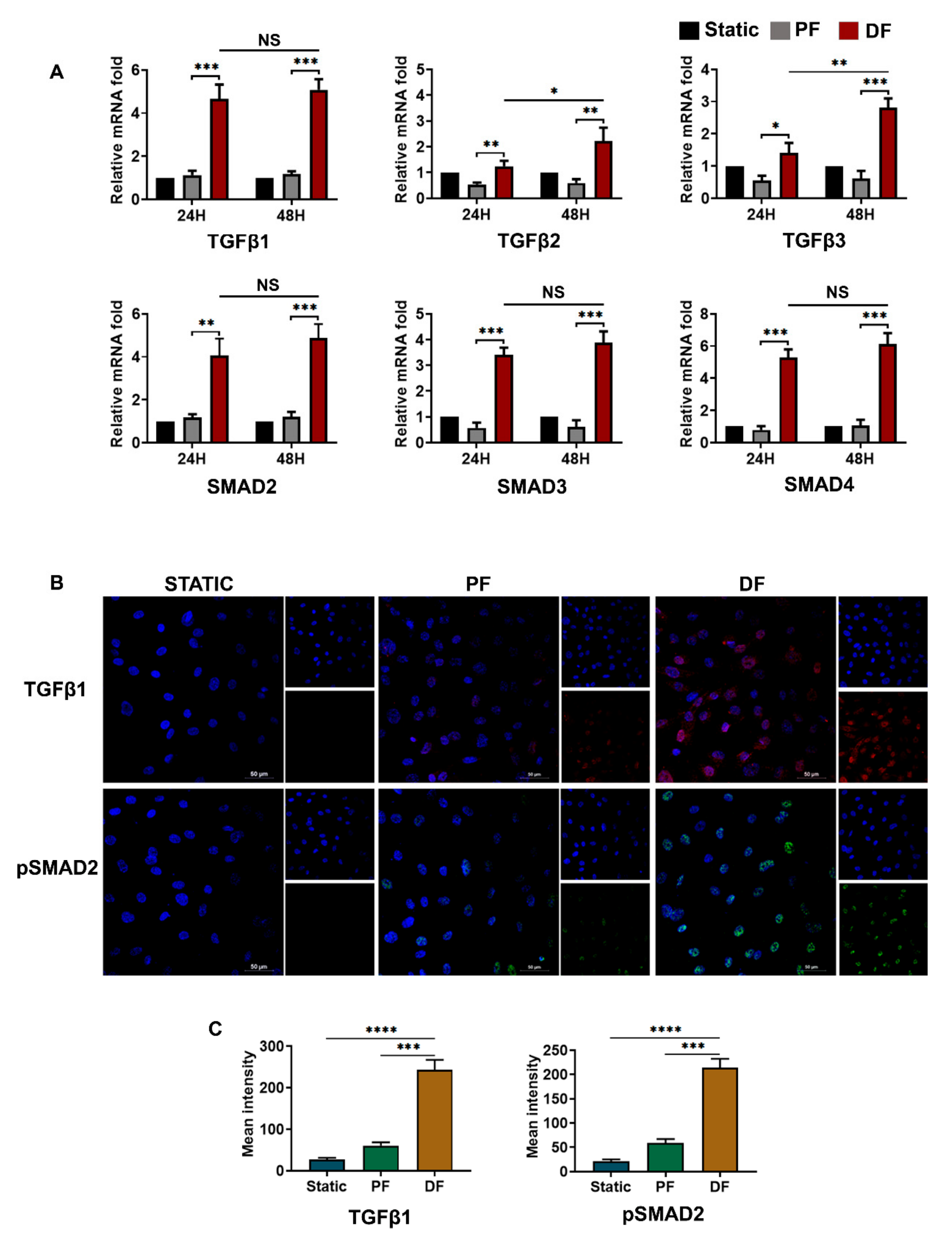 Cells 10 03563 g004 Cells 10 03563 g004