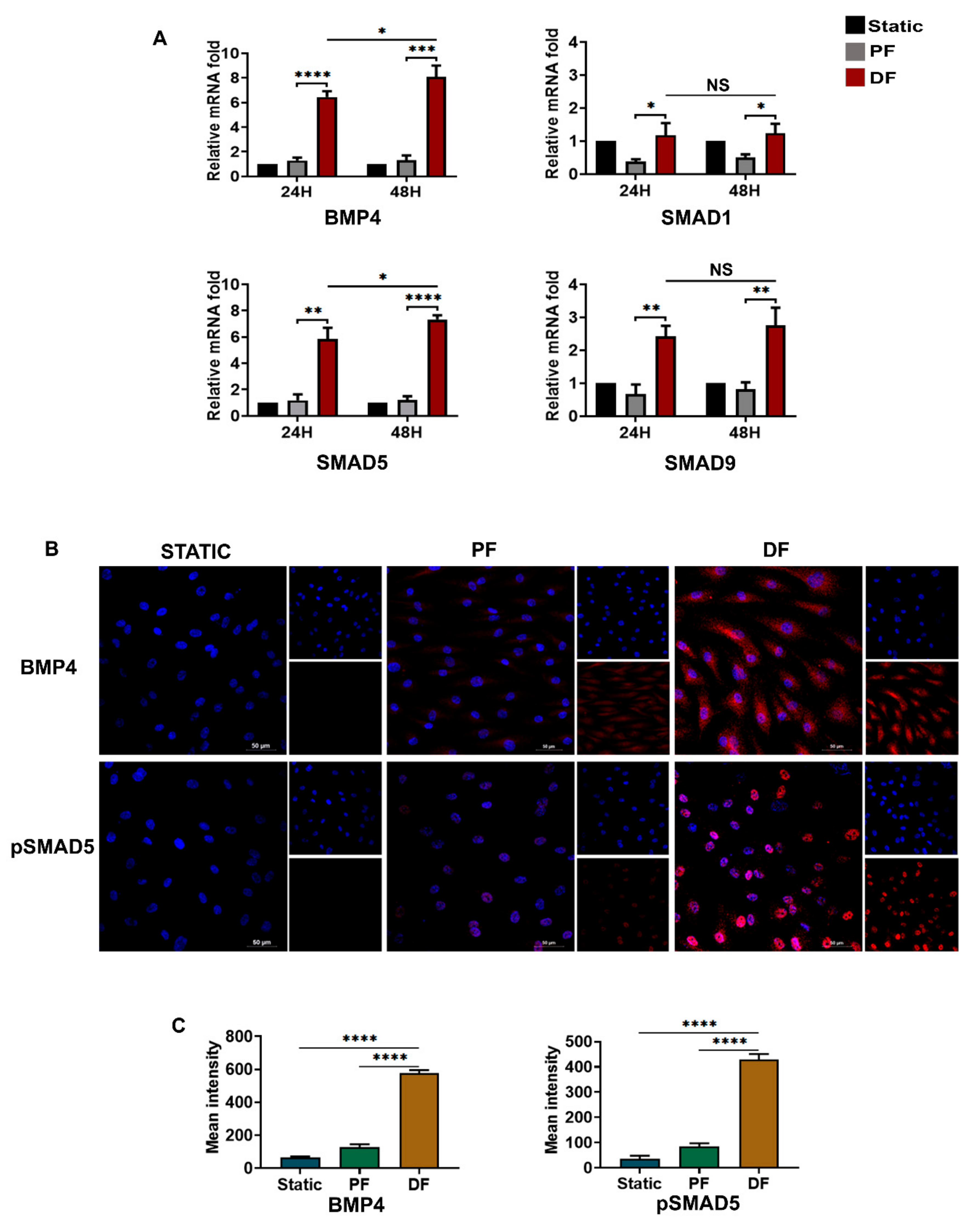 Cells 10 03563 g005 Cells 10 03563 g005