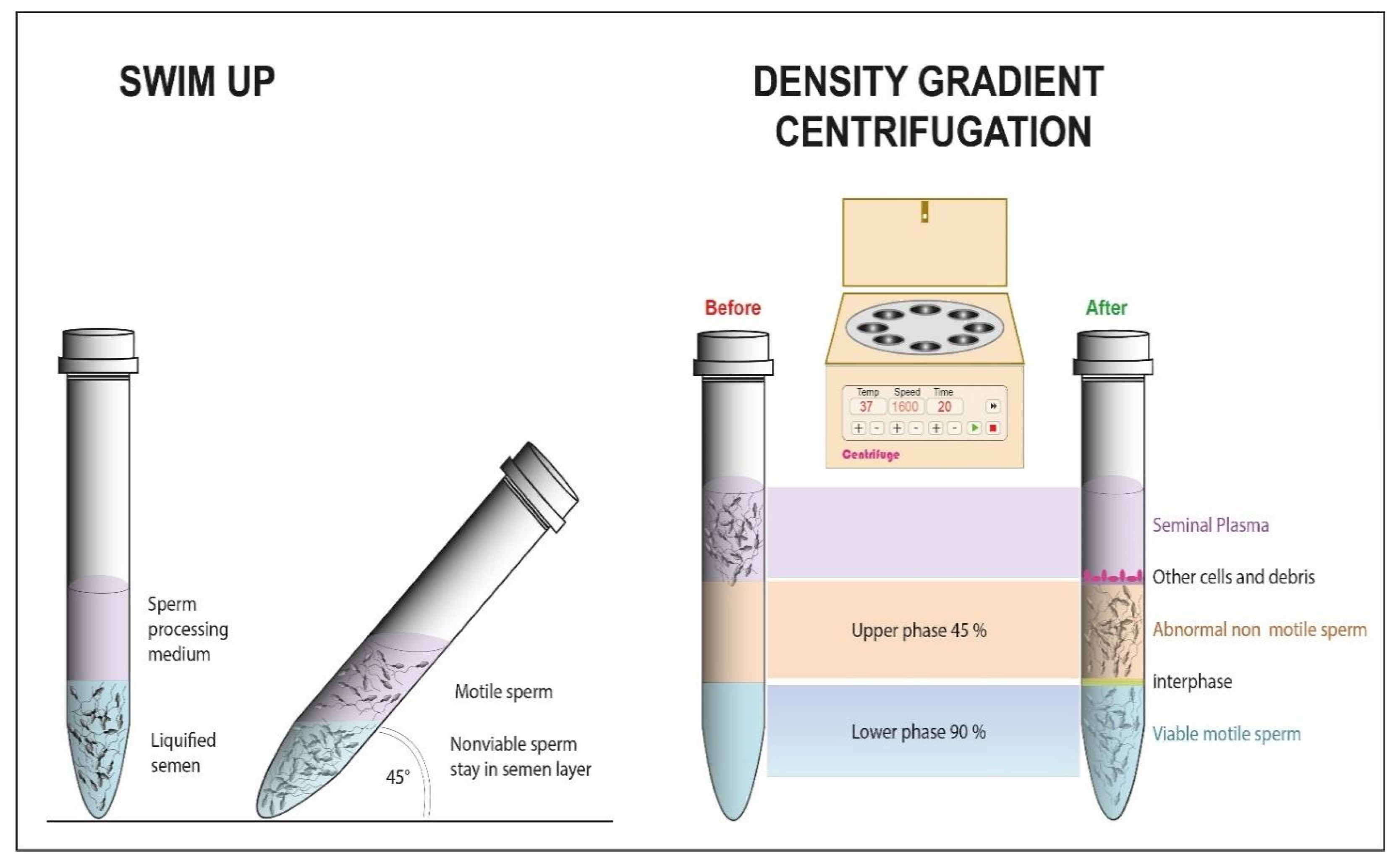 Cells 10 03566 g001 Cells 10 03566 g001