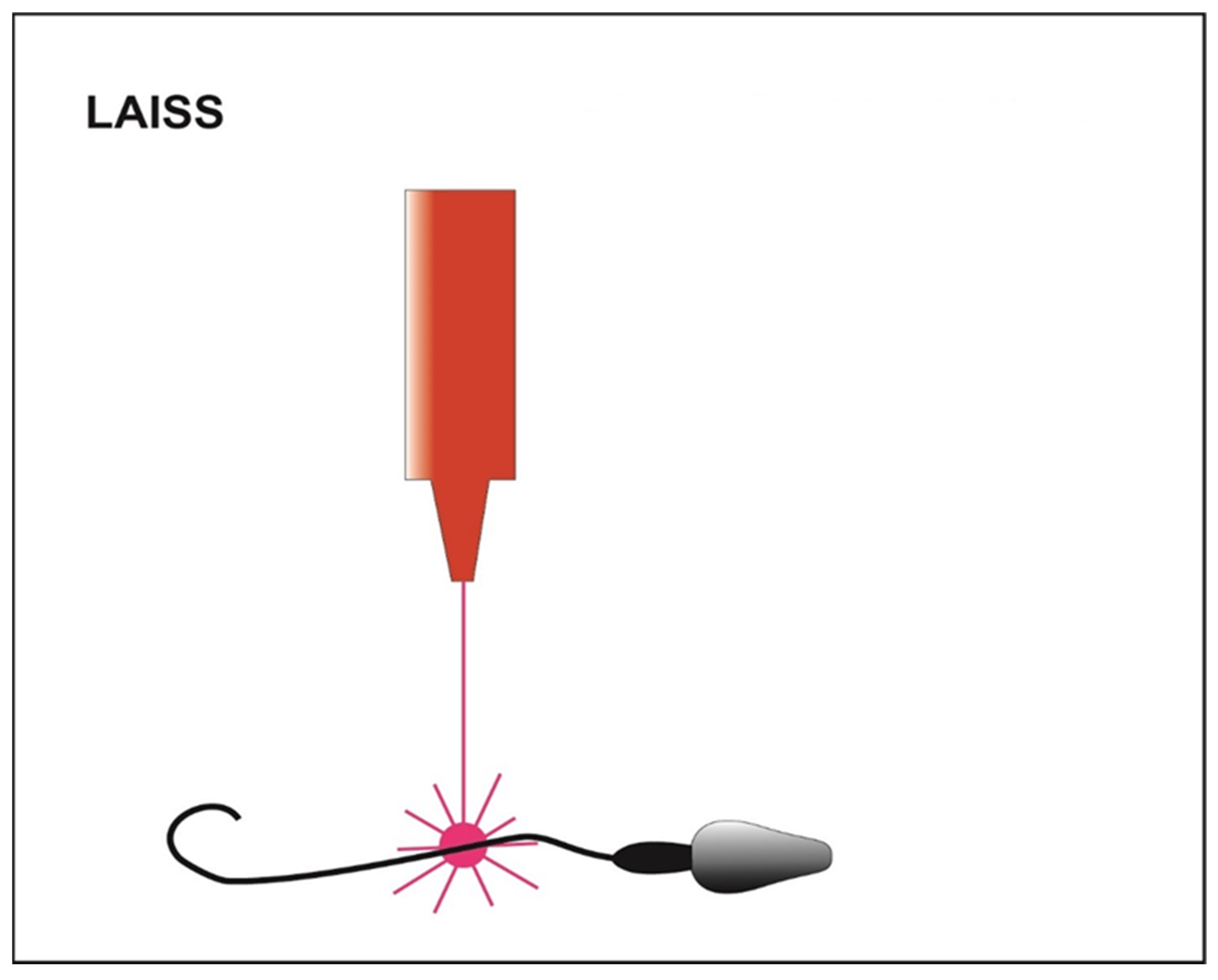Cells 10 03566 g005 Cells 10 03566 g005