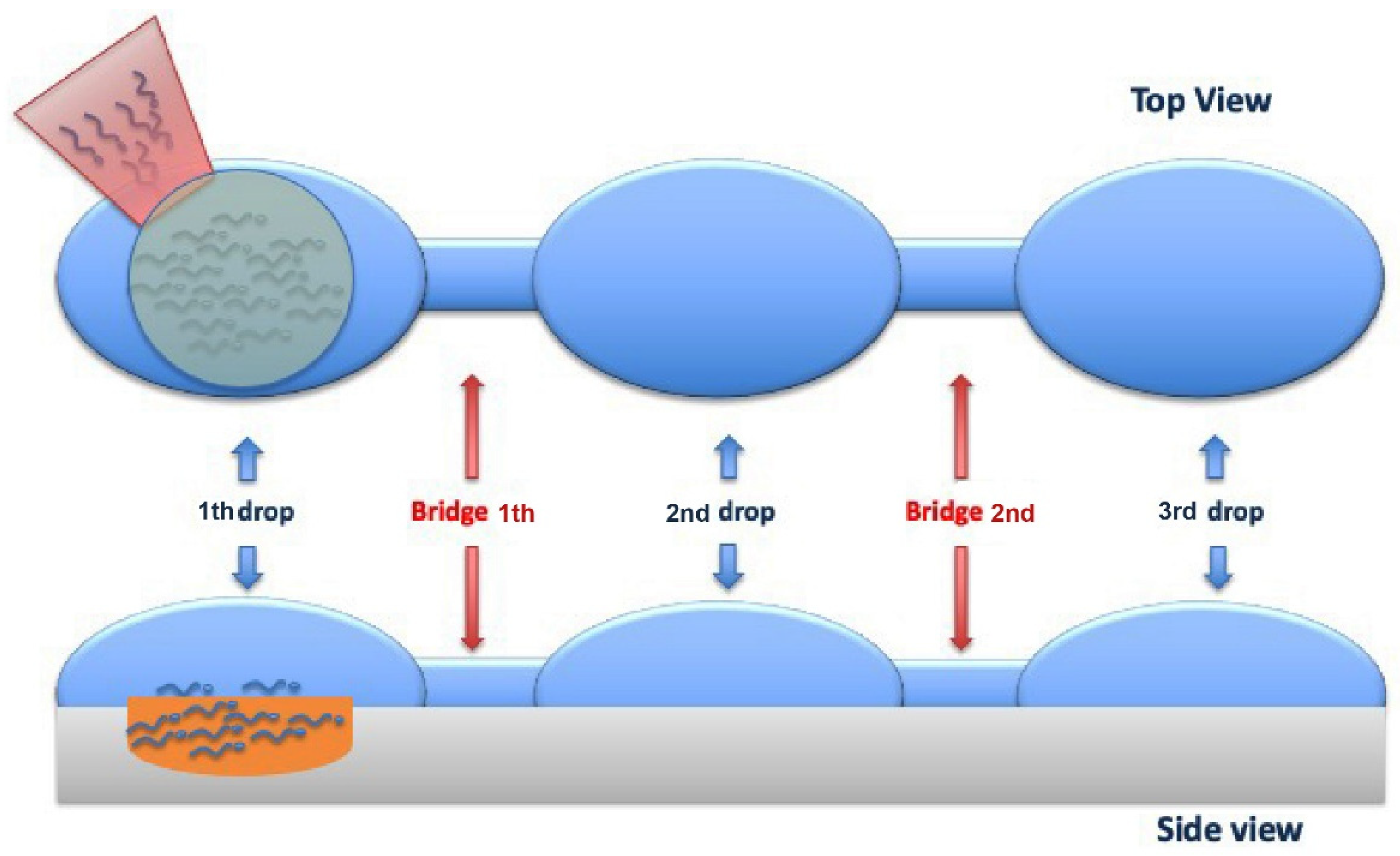 Cells 10 03566 g011 Cells 10 03566 g011