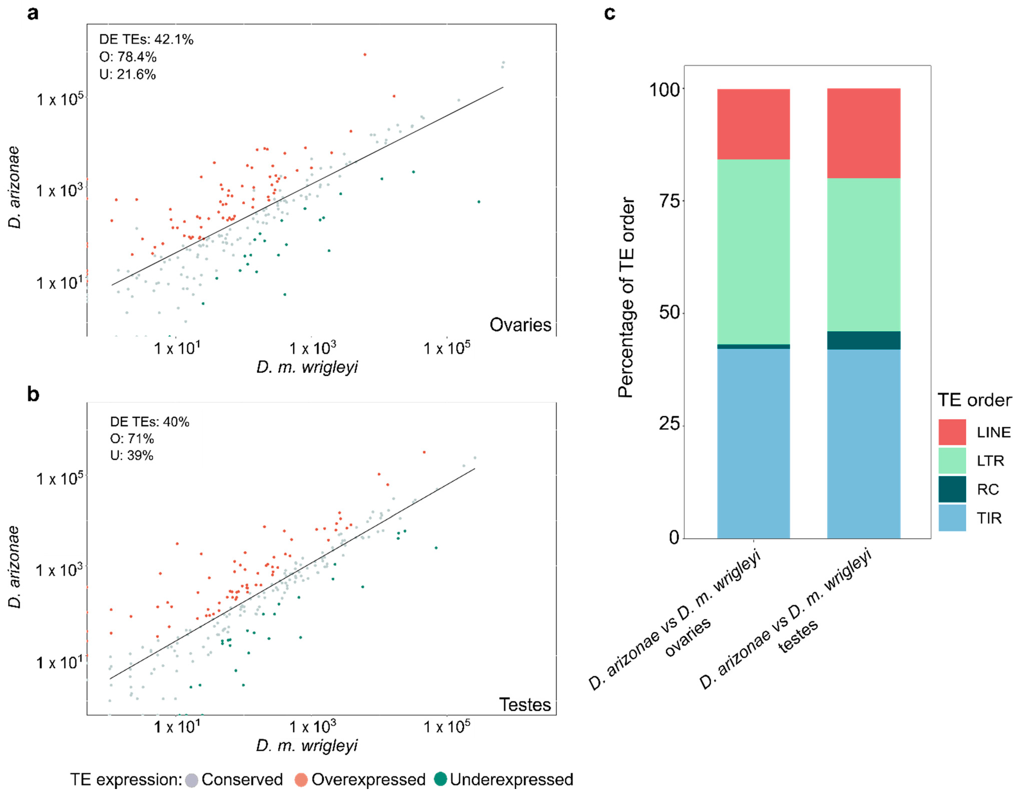 Cells 10 03574 g001 Cells 10 03574 g001