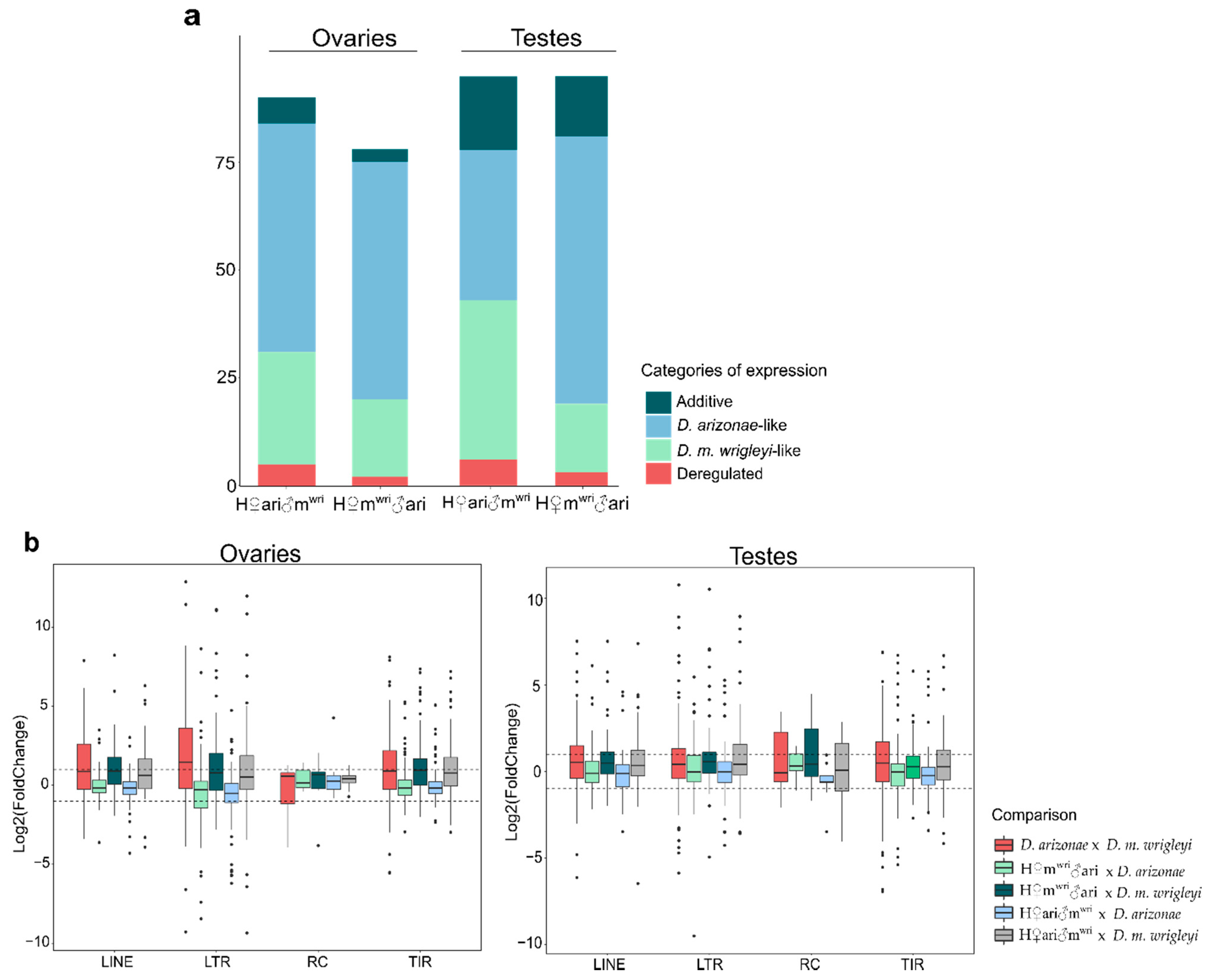 Cells 10 03574 g002 Cells 10 03574 g002