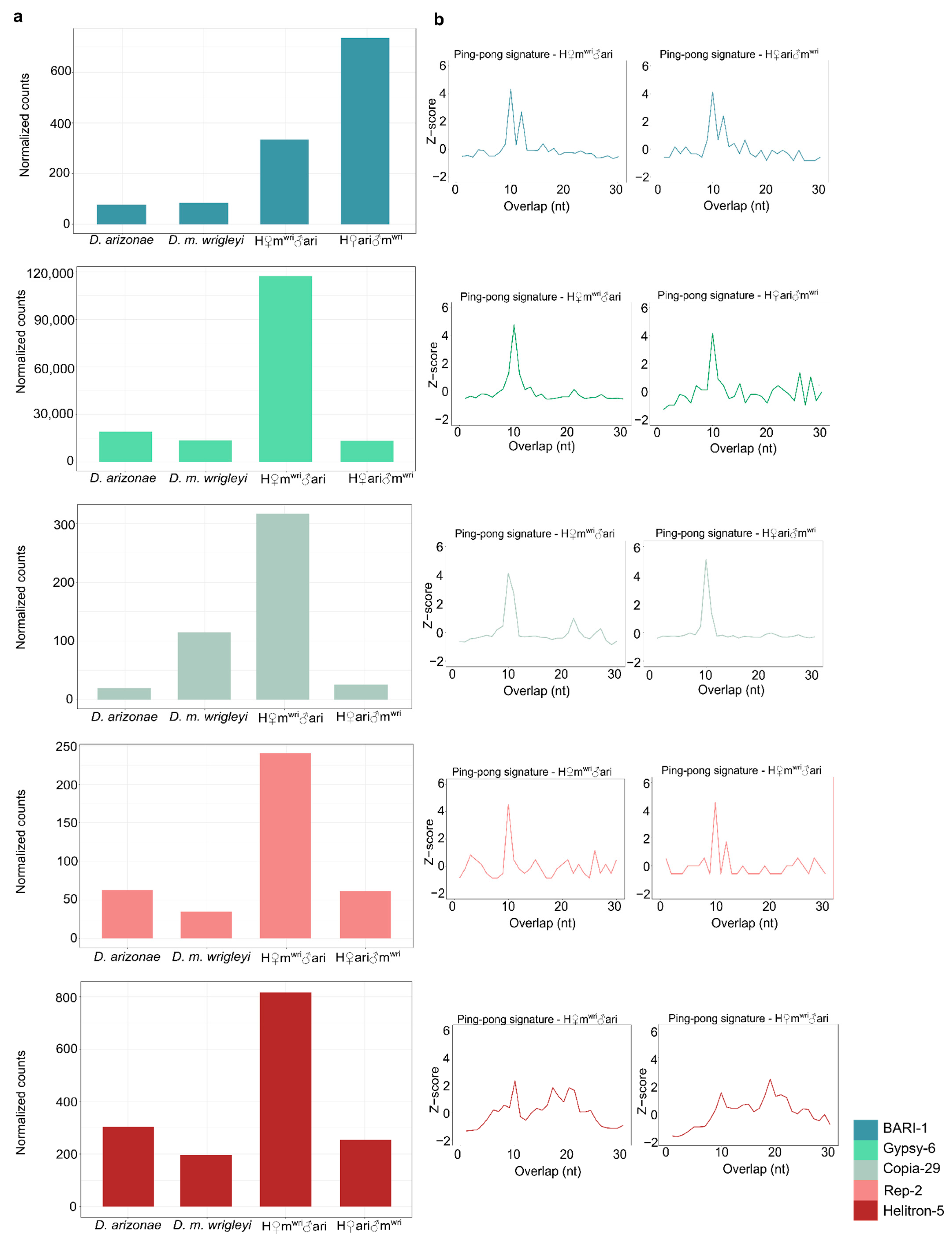 Cells 10 03574 g006 Cells 10 03574 g006