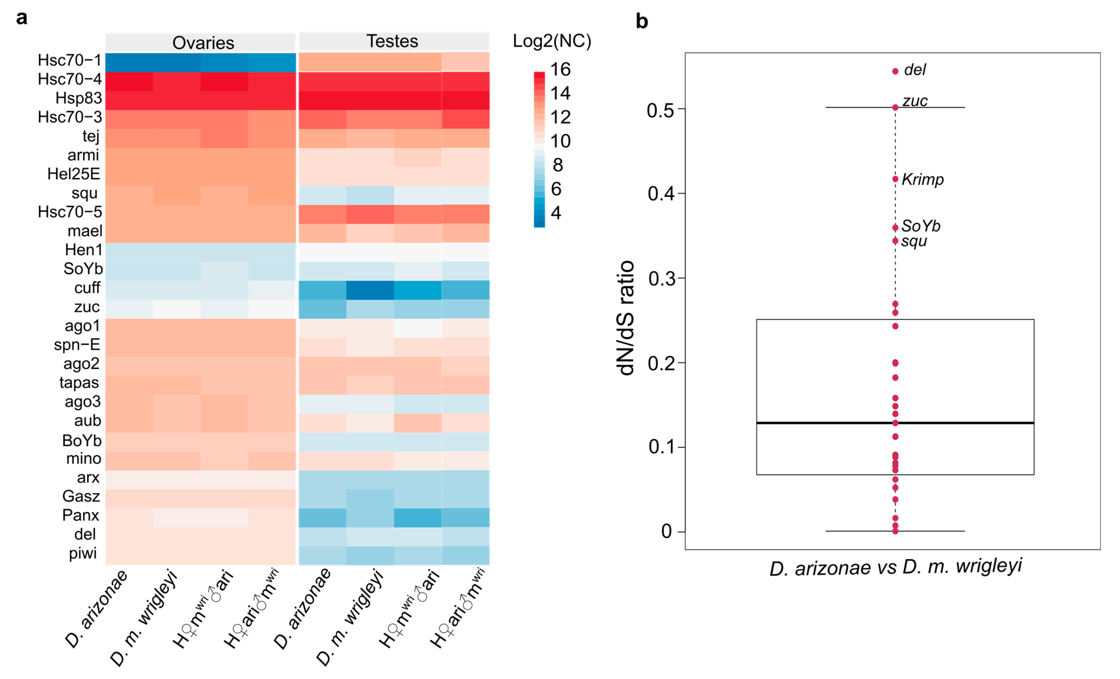 Cells 10 03574 g008 Cells 10 03574 g008