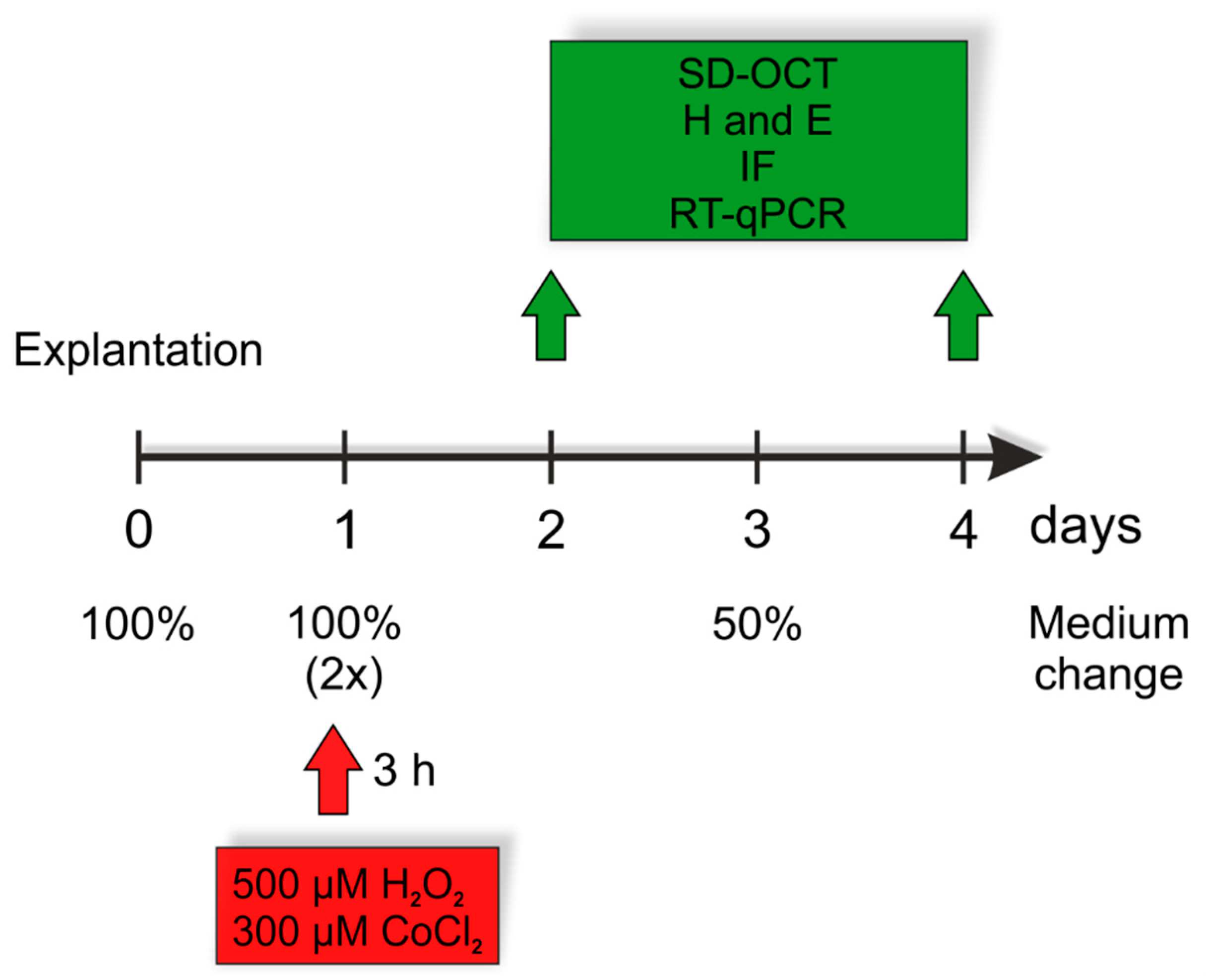 Cells 10 03575 g001