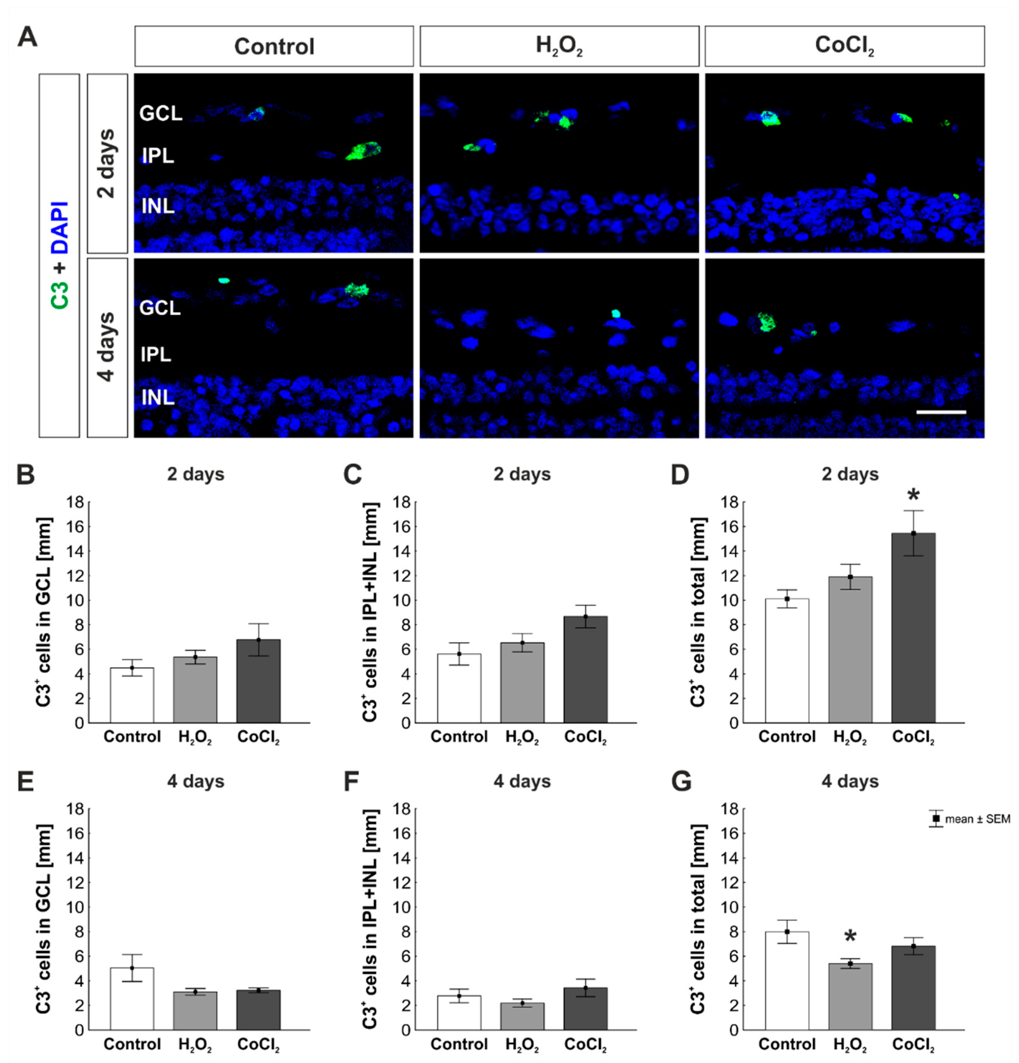 Cells 10 03575 g005