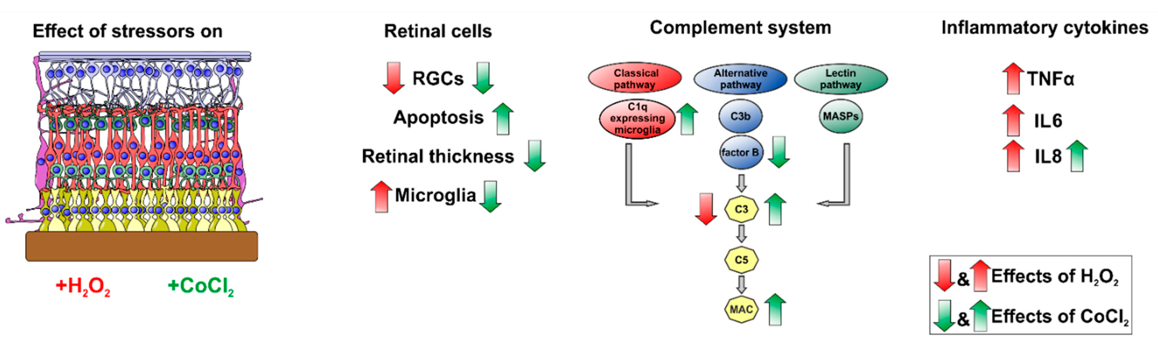 Cells 10 03575 g010