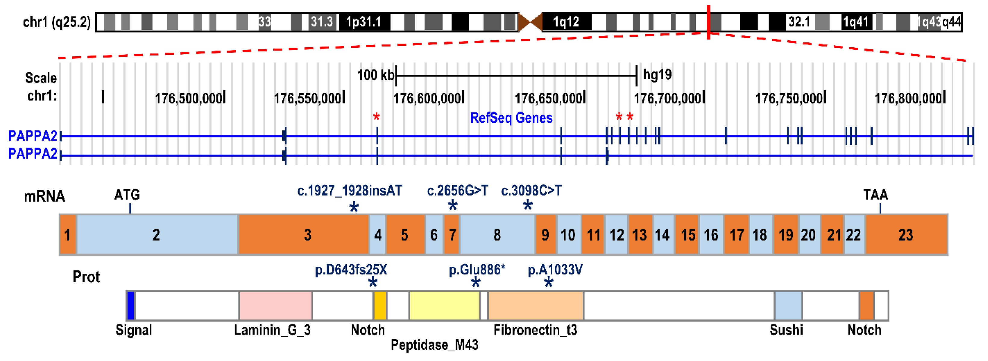 Cells 10 03576 g003 Cells 10 03576 g003
