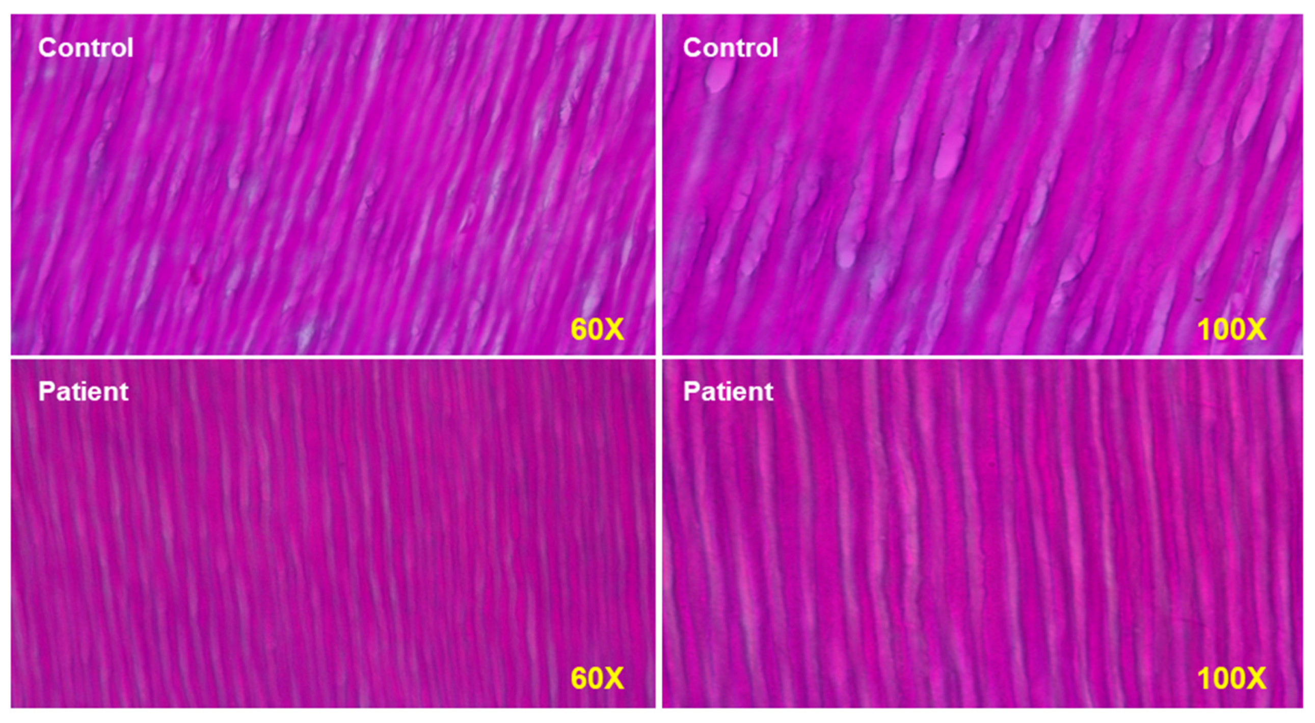 Cells 10 03576 g004 Cells 10 03576 g004