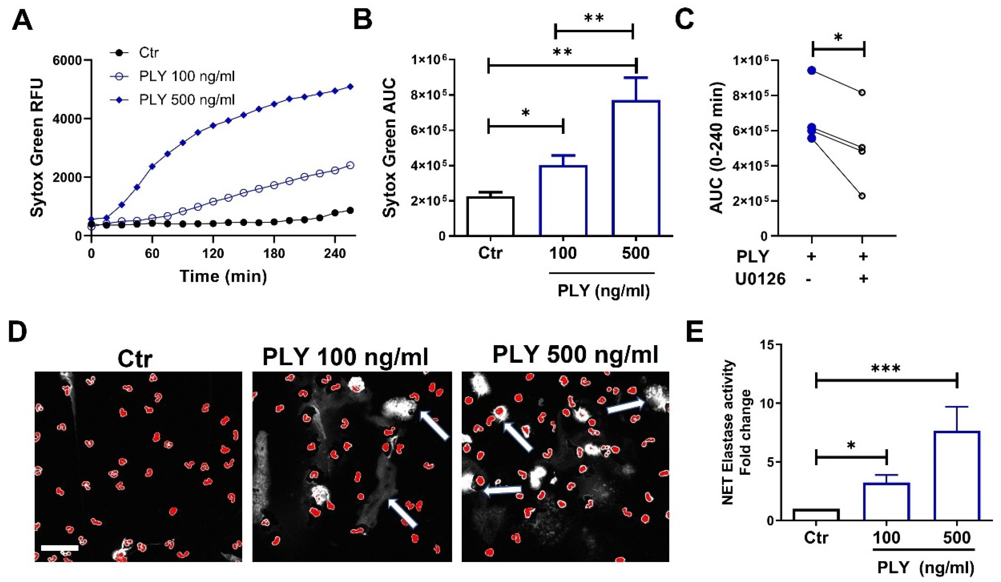 Cells 10 03581 g002