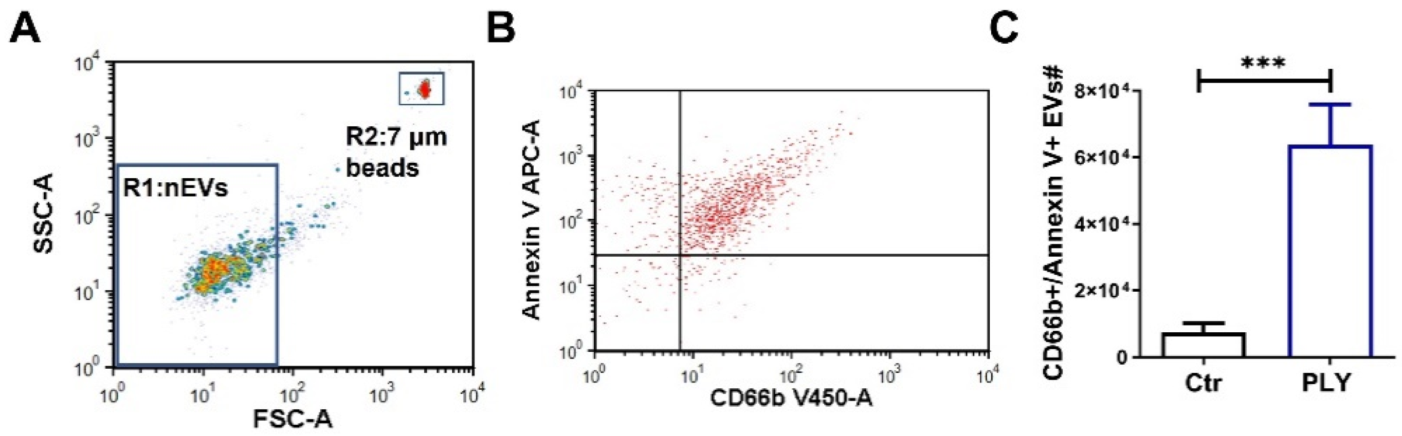 Cells 10 03581 g003