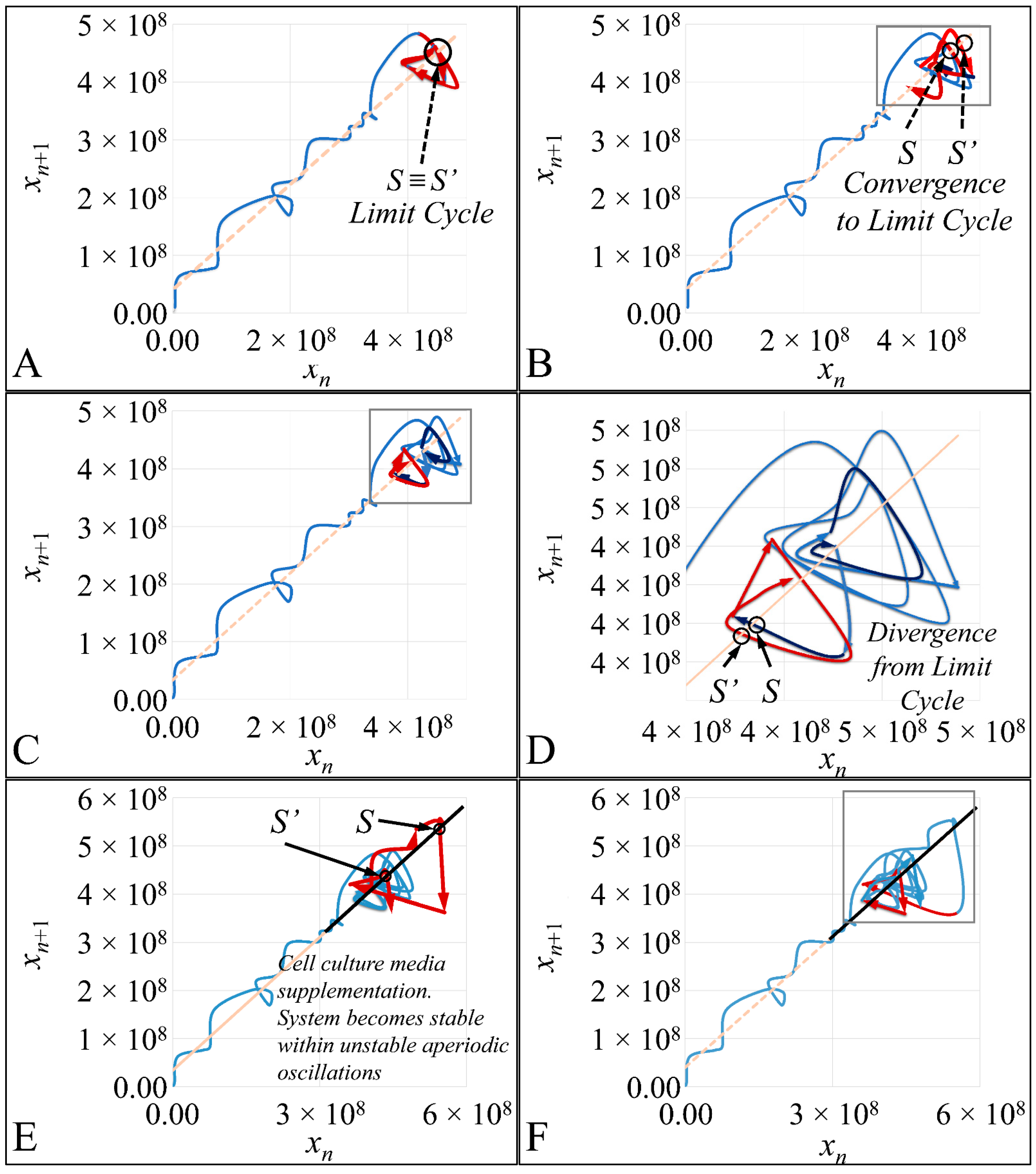 Cells 10 03584 g012a