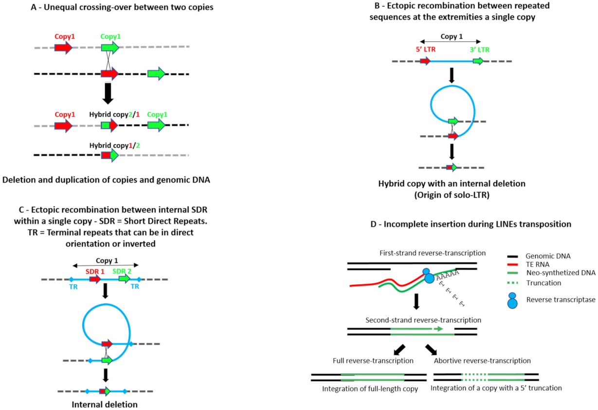 Cells 10 03590 g001a