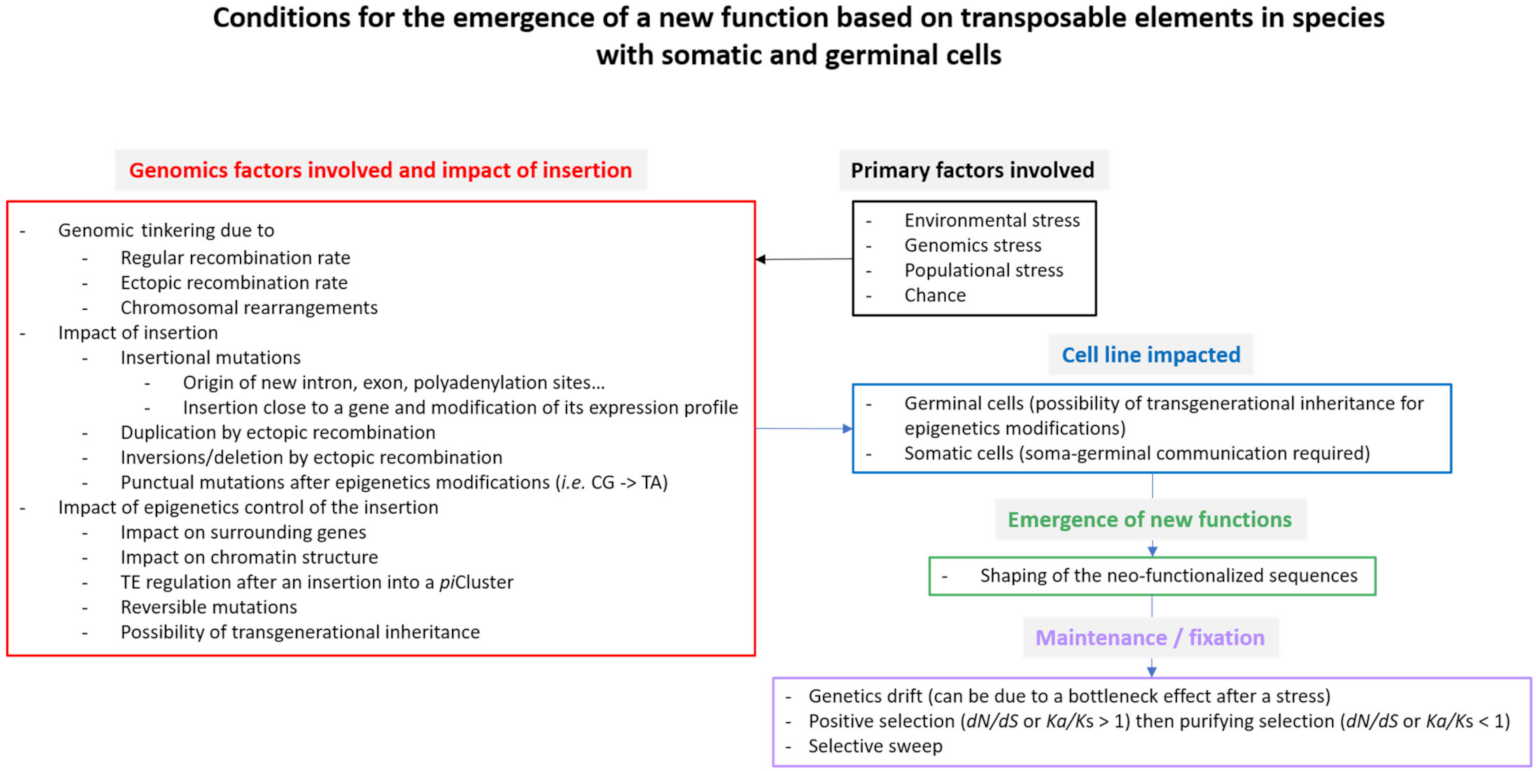 Cells 10 03590 g003