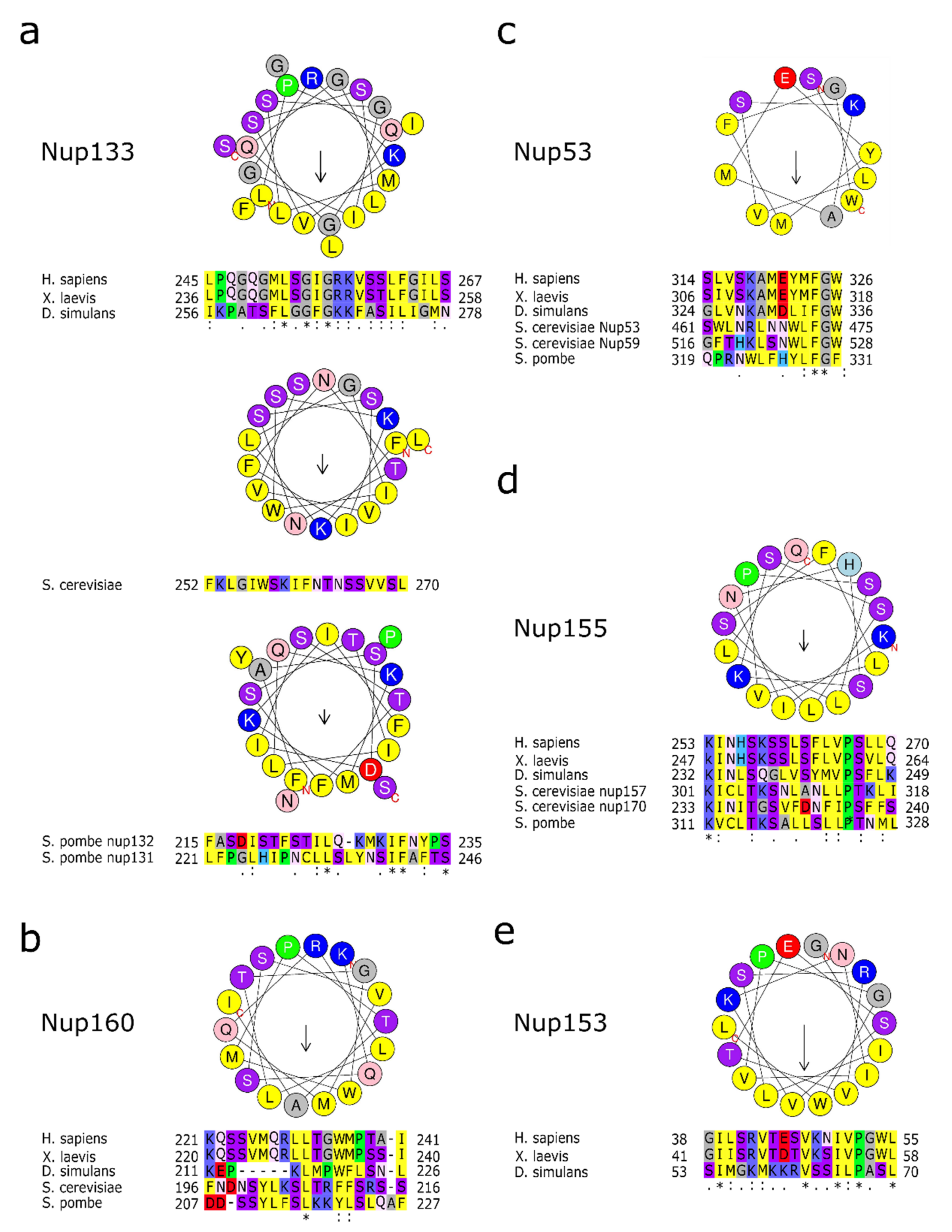 Cells 10 03601 g003