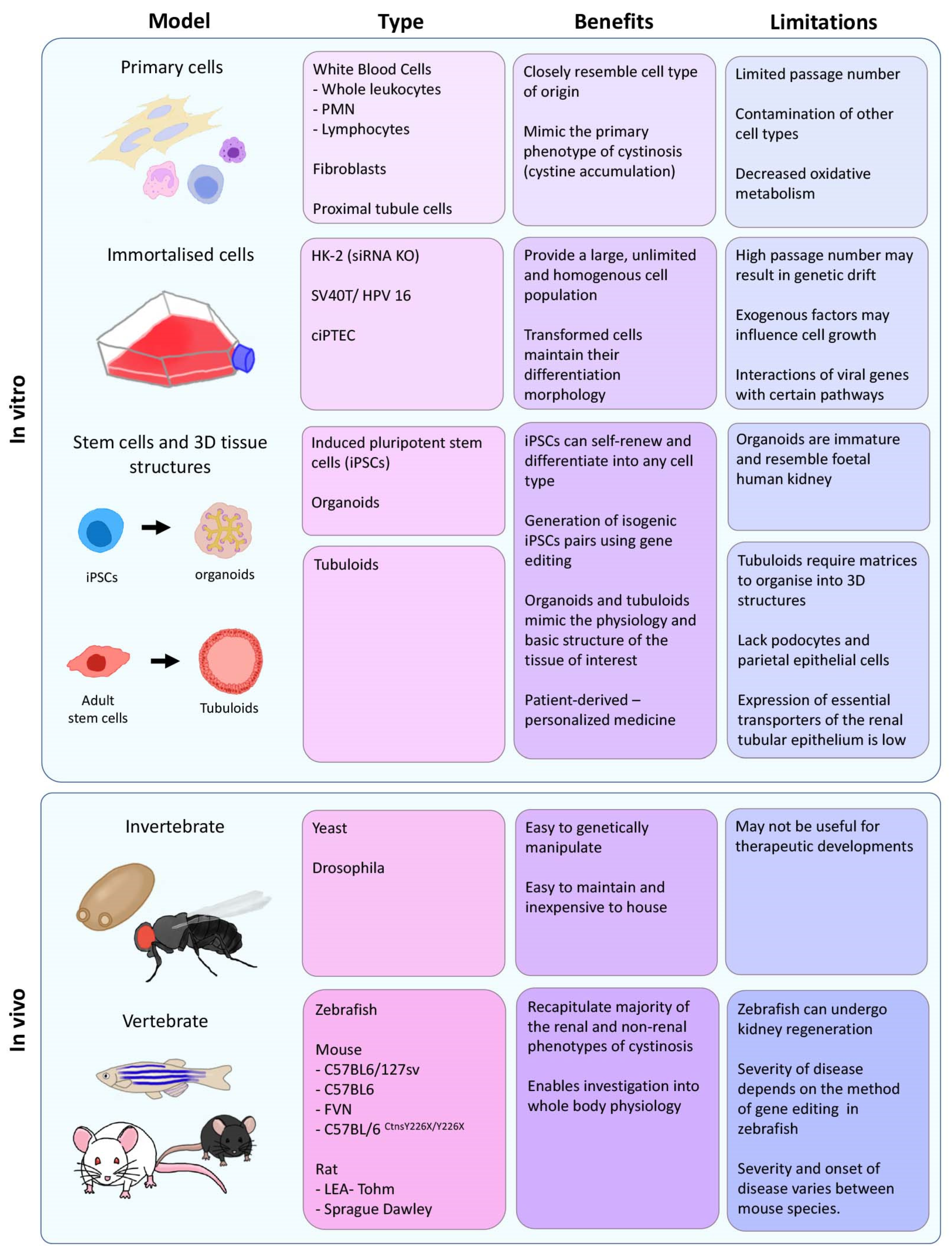 Cells 11 00006 g001 Cells 11 00006 g001