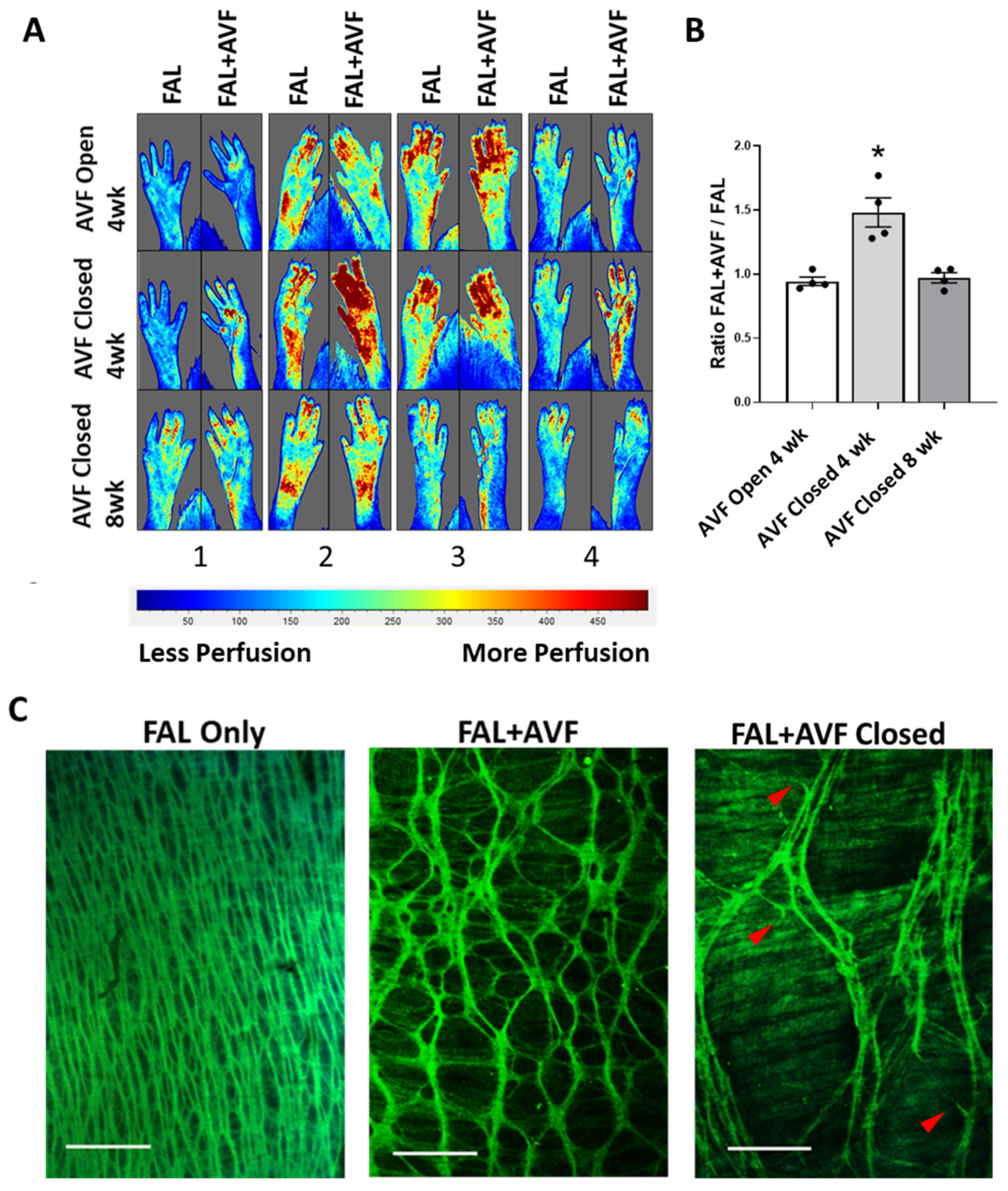Cells 11 00007 g003 Cells 11 00007 g003